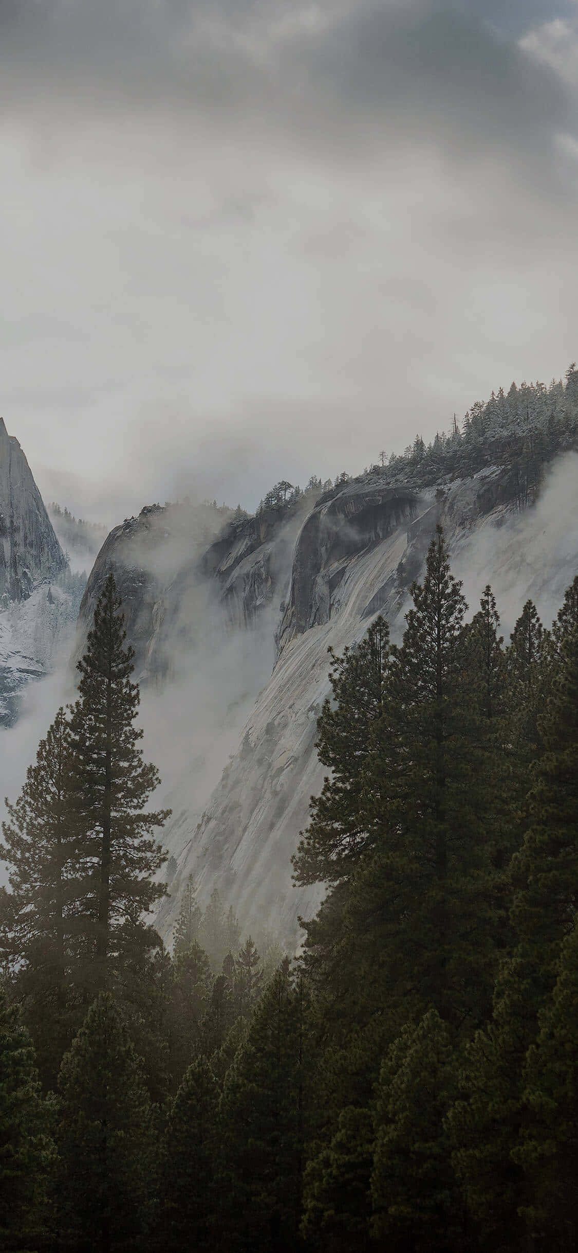 Misty Mountain Forest, 4K, misty waterfall, Full HD Phone Wallpaper
