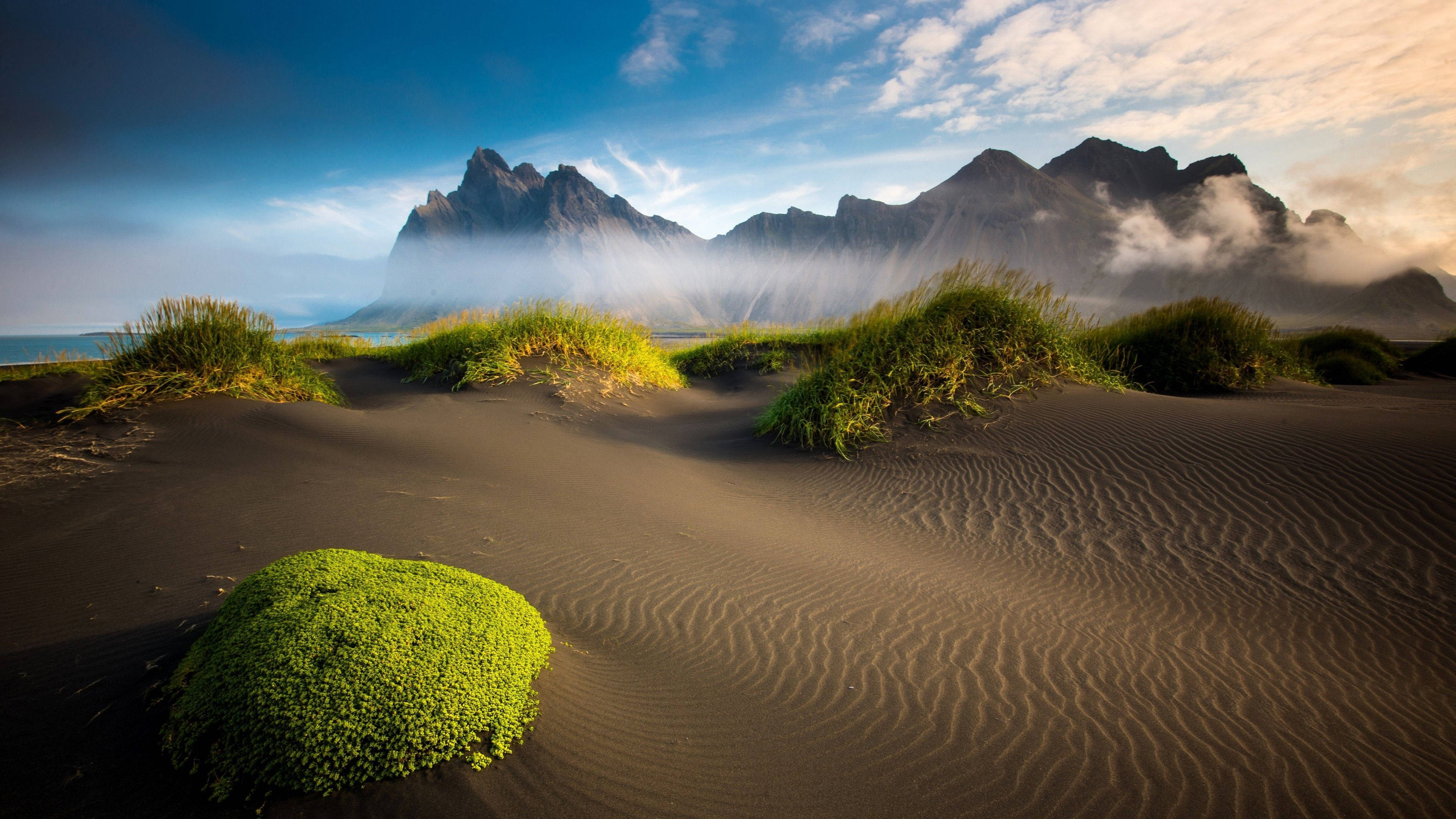 4K Desert, vibrant green shrubs, rippled black sand dunes, 4K Desktop Wallpaper