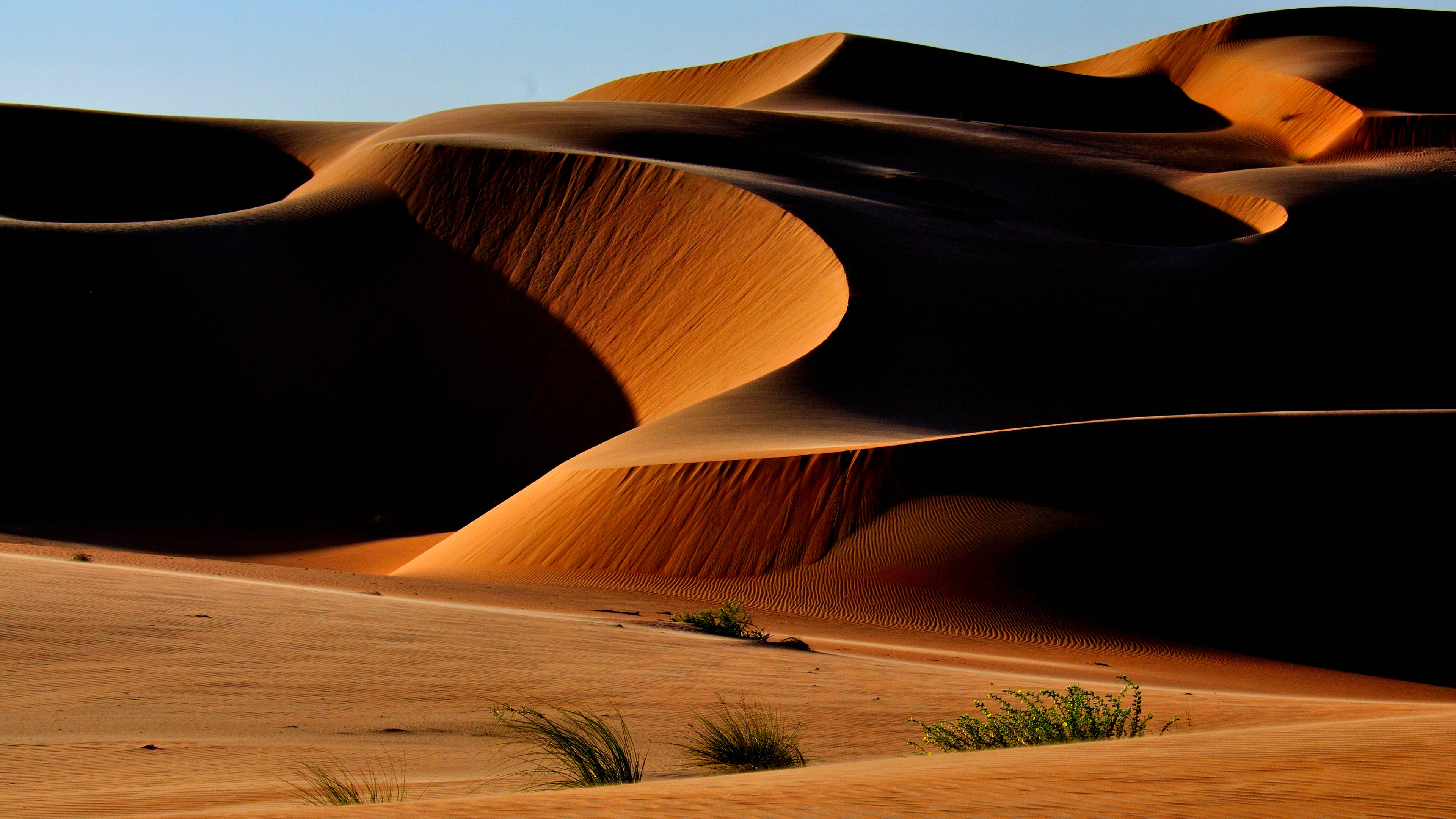 4K UHD, golden sand dunes, warm sunlight, 4K Desktop Wallpaper