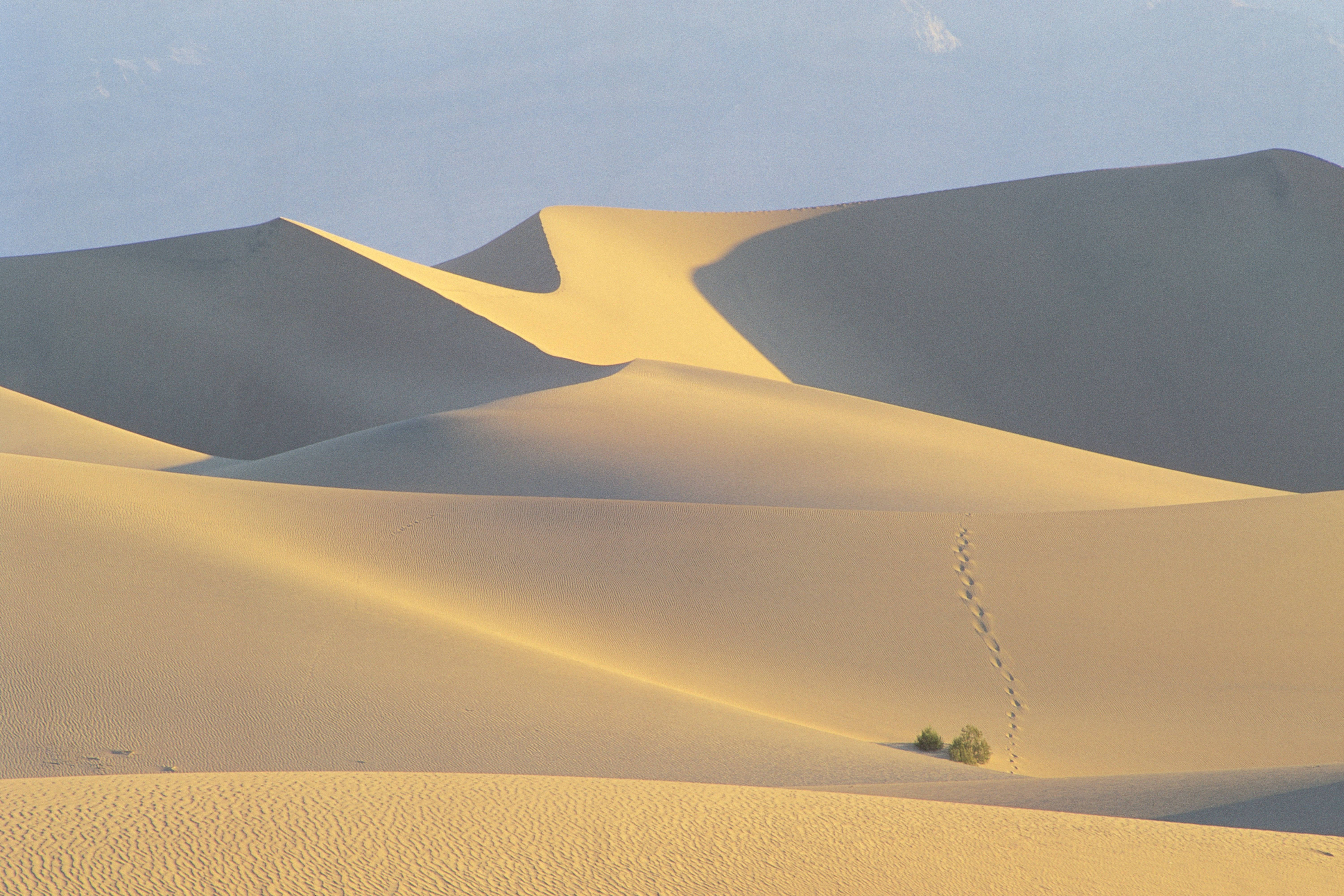 4K Landscape Sahara Desert, Golden sand dunes, soft morning light, 5K Desktop Wallpaper