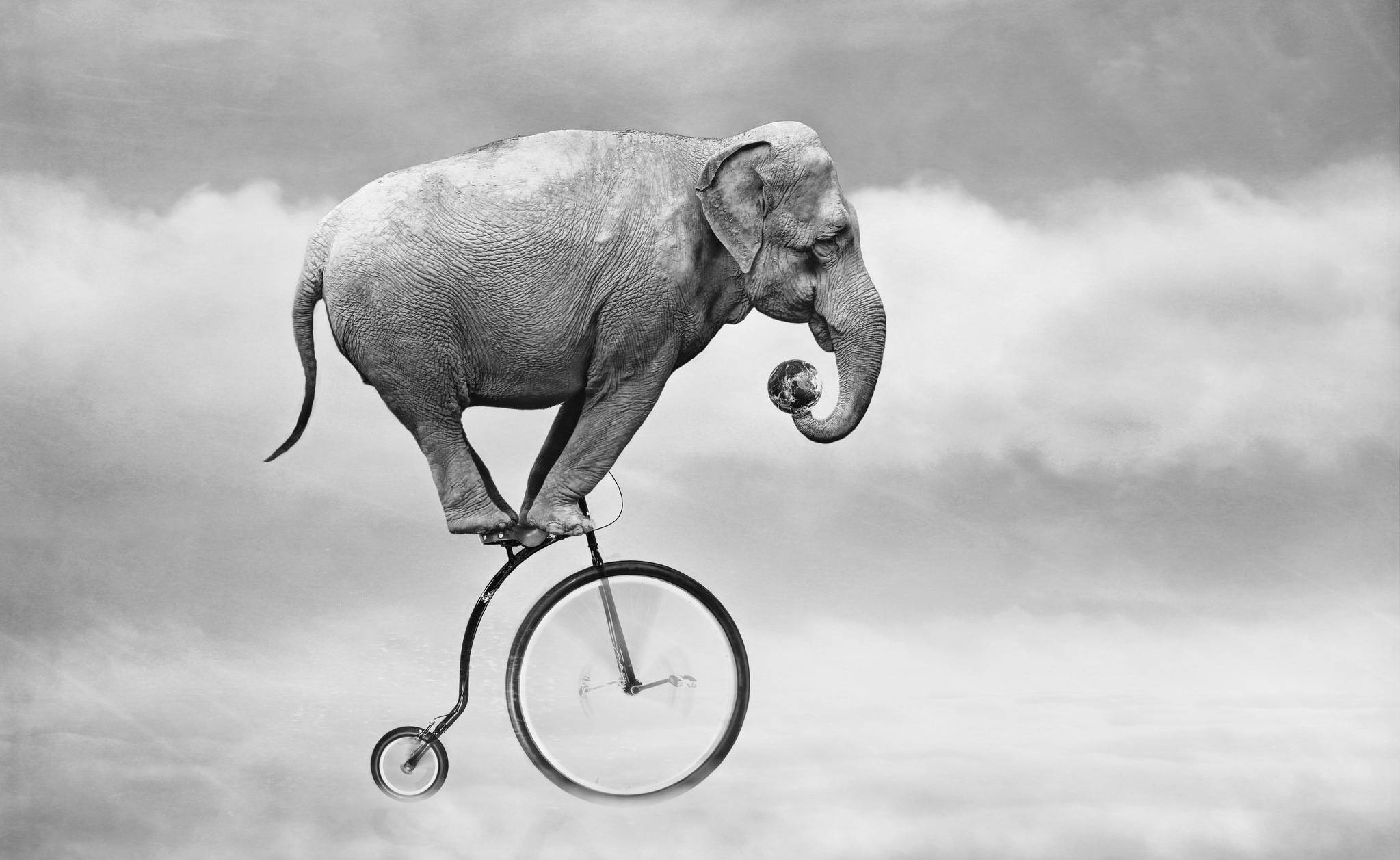 4K Elephant, unicycle, globe, Full HD Desktop Wallpaper