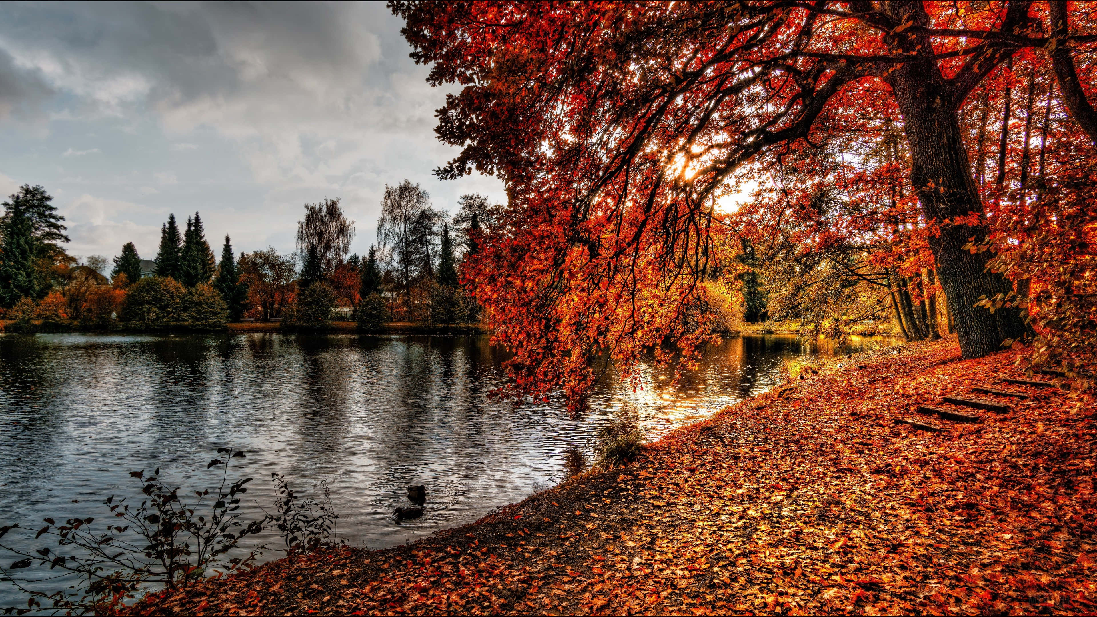 4K Autumn, autumn lake, fiery red trees, 4K Desktop Wallpaper
