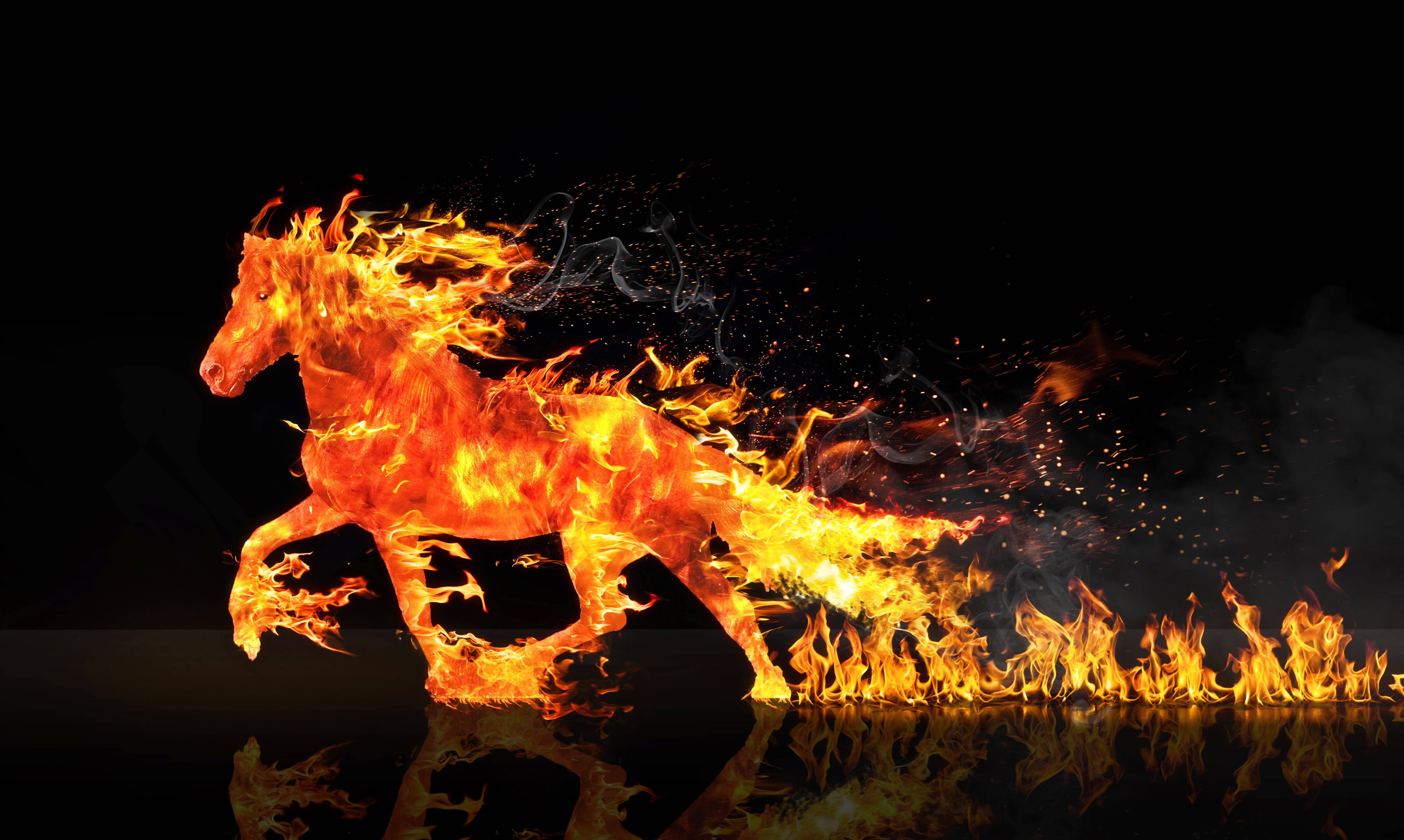 4K Fire, fiery horse, dark reflective surface, 4K Desktop Wallpaper