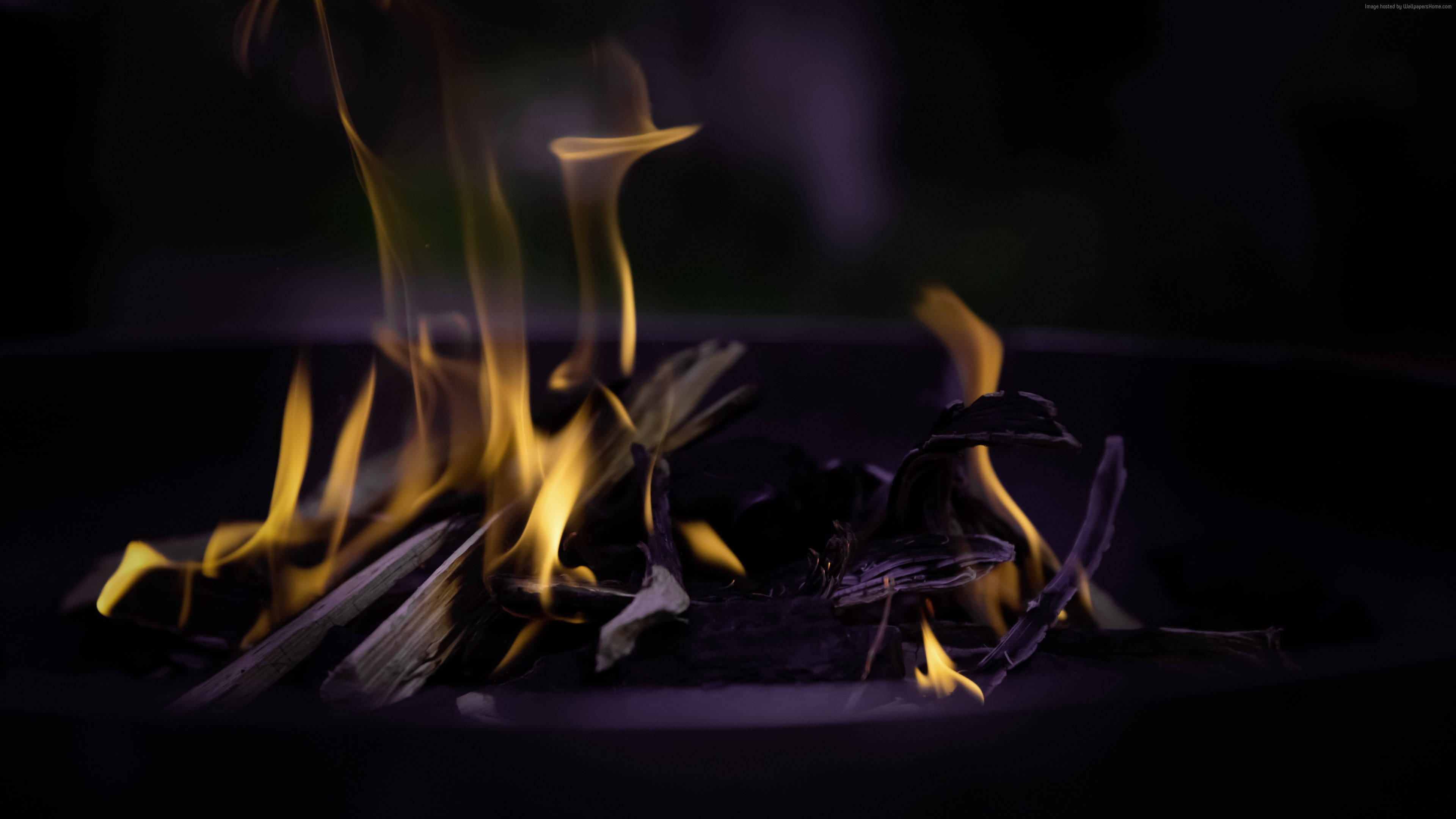 4K Fire, yellow flames, charred wood, 4K Desktop Wallpaper