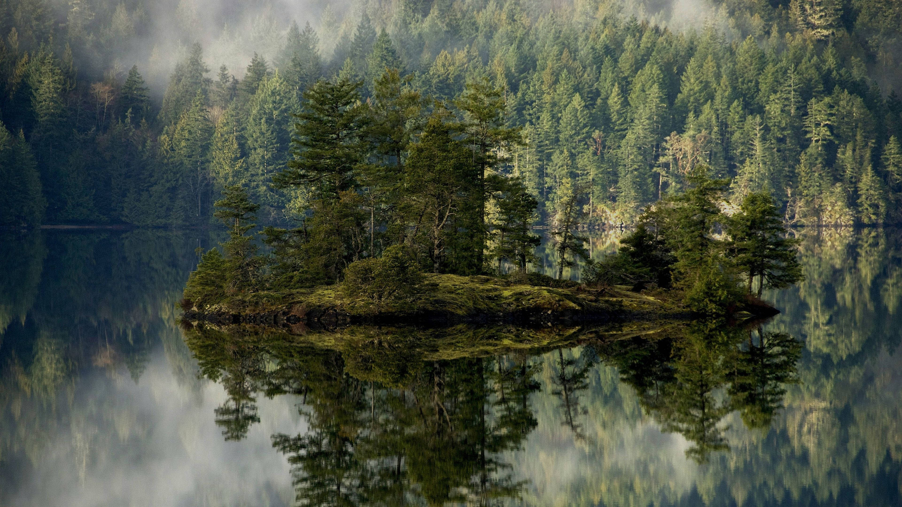 4K Forest, small island, misty forest, 4K Desktop Wallpaper
