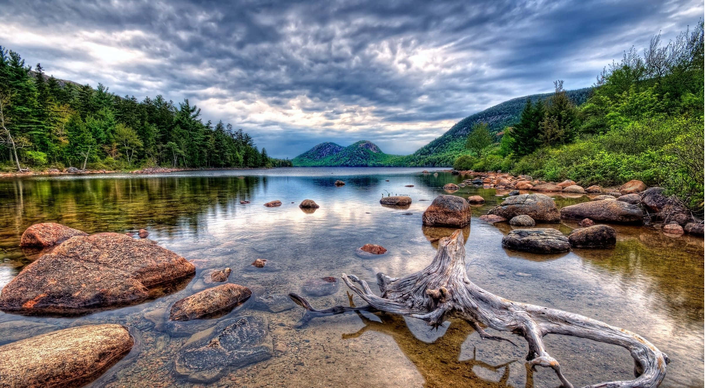 4K, HDR, forest landscape, Full HD Desktop Wallpaper
