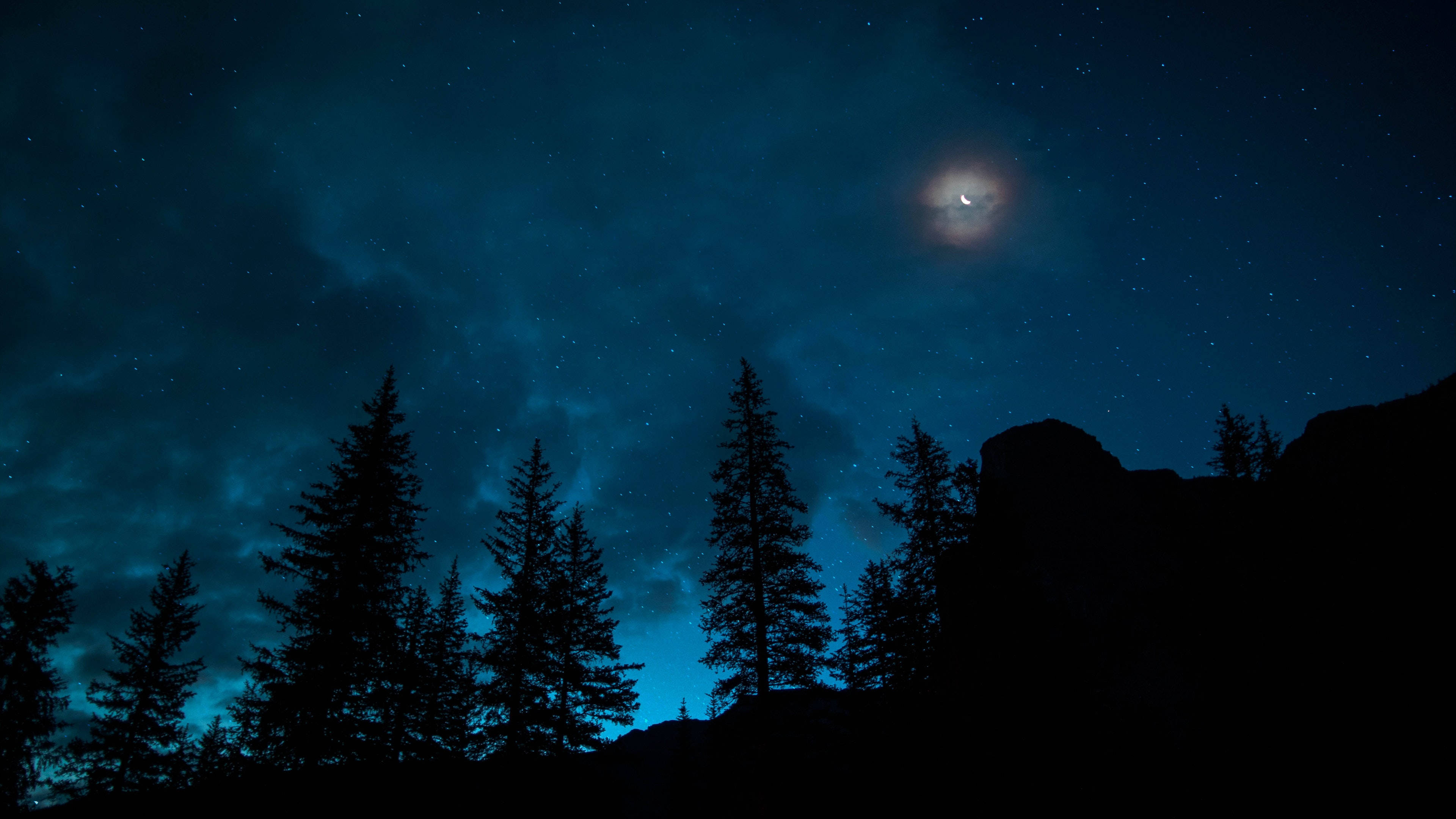4K Ultra HD 2160p, night forest, crescent moon, 4K Desktop Wallpaper