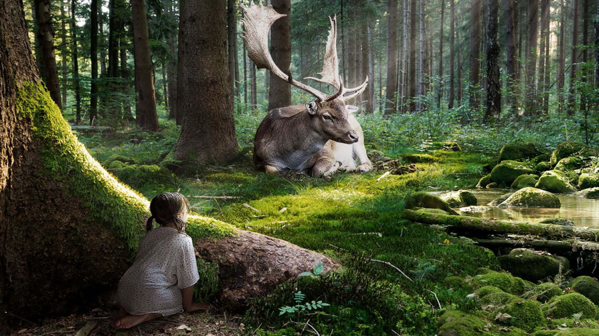 3D Forest Scene, young girl, mossy tree trunk, Full HD Desktop Wallpaper