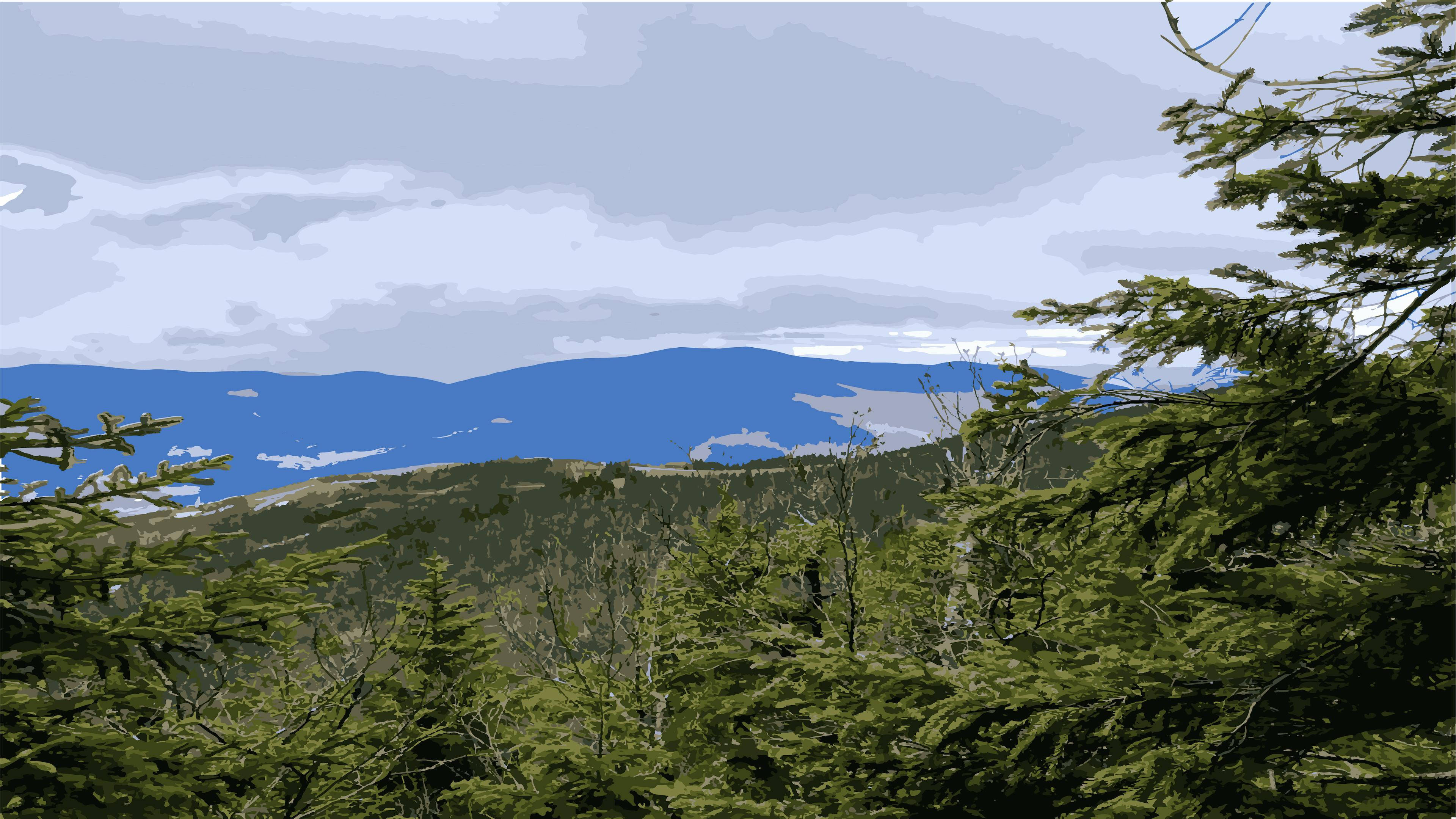 4K, vector view, forest, 4K Desktop Wallpaper