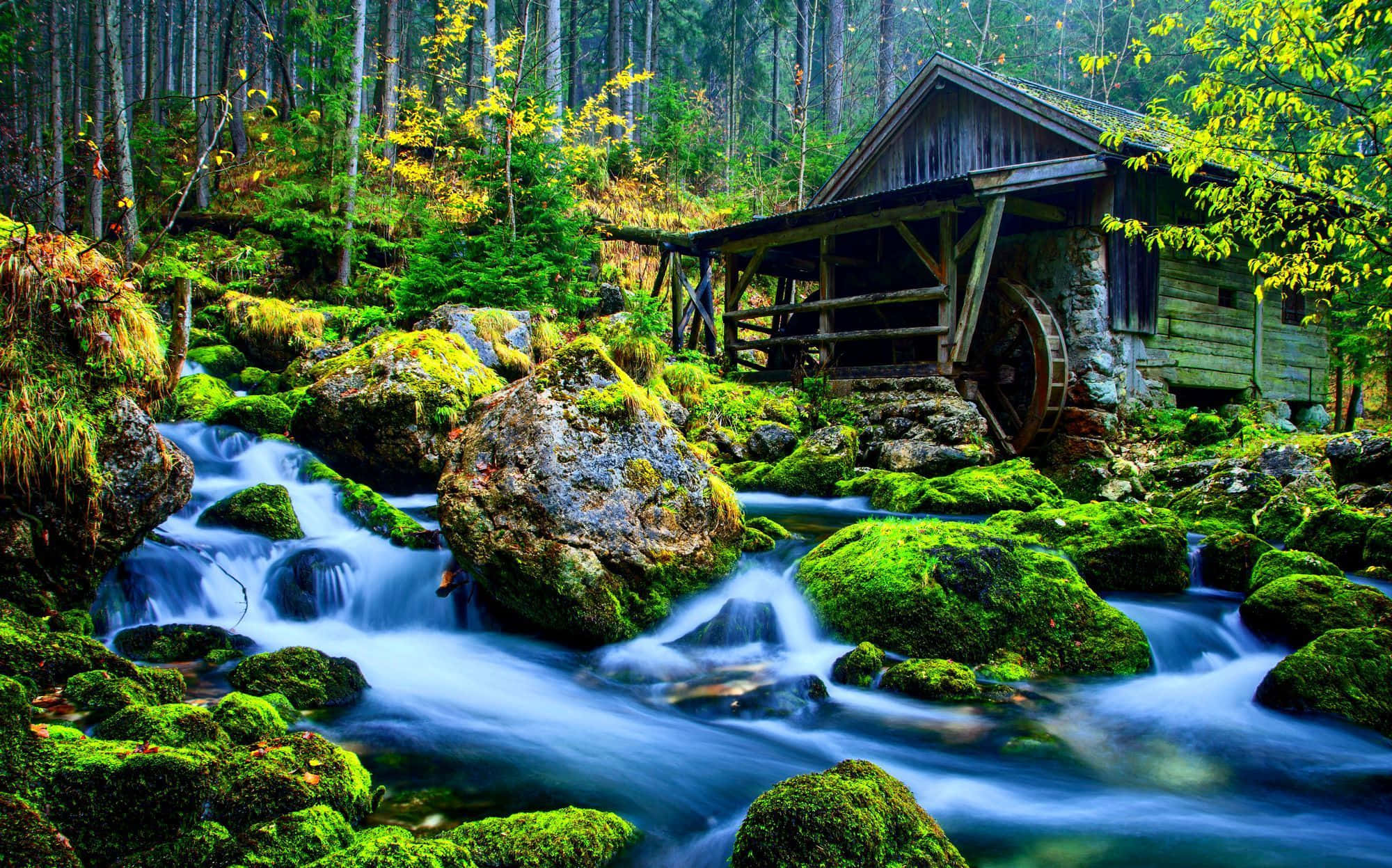 3D forest, rustic wooden watermill, large wheel, Full HD Desktop Wallpaper