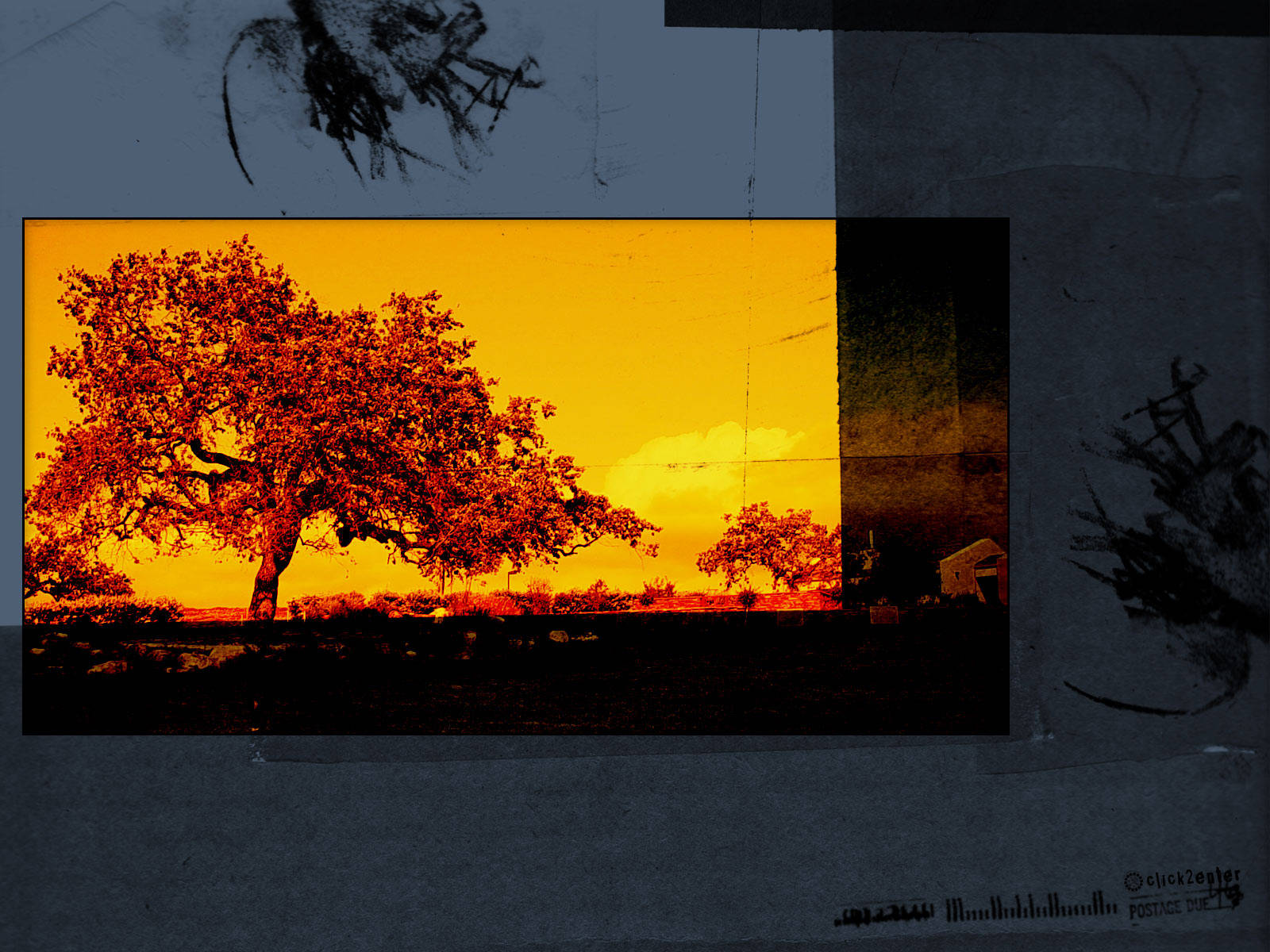 4K Nature Frame, fiery orange sunset, rustic field, HD Desktop Wallpaper