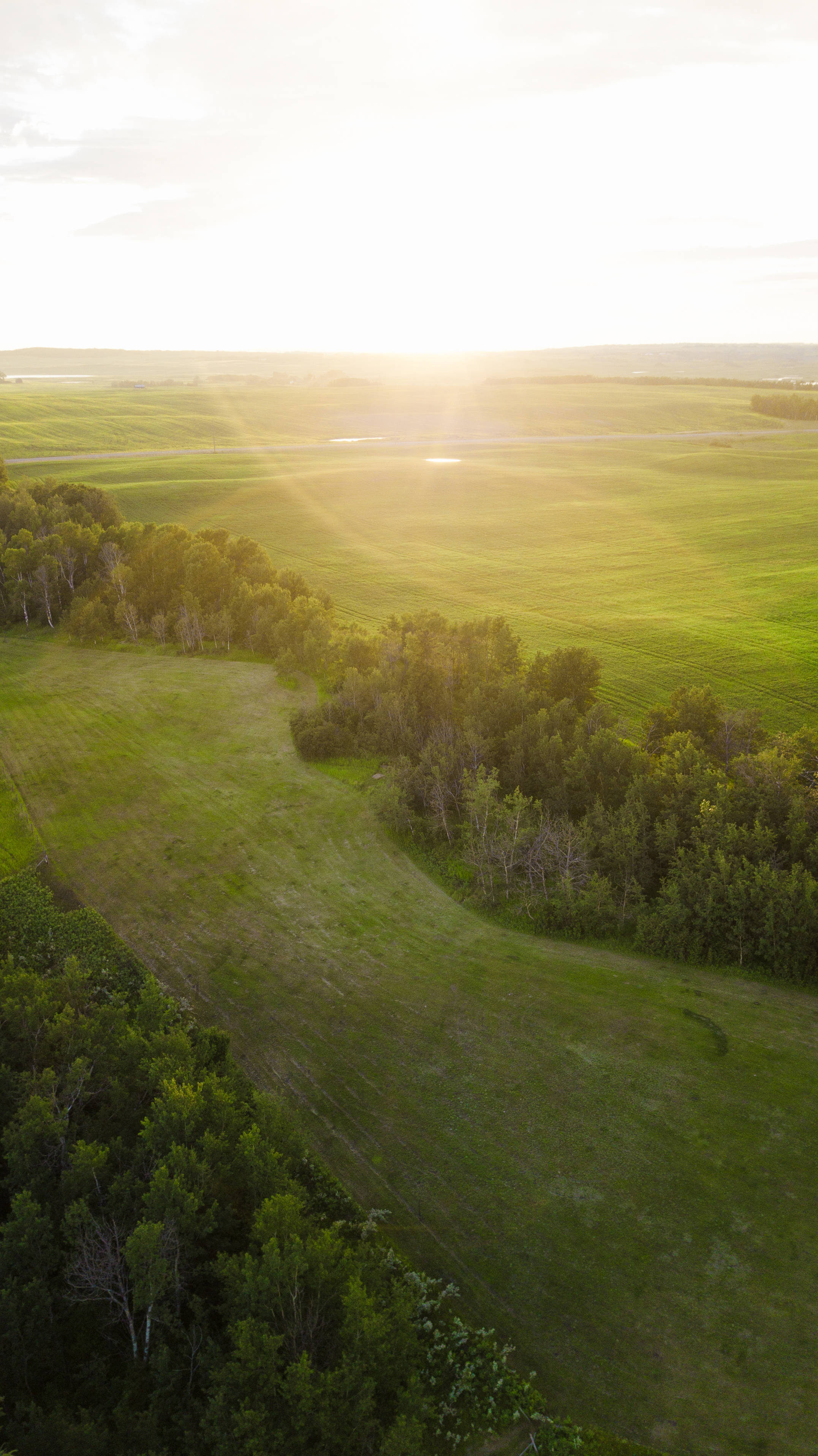 4K Golf Course, aerial view, sunlit green fields, 2K Phone Wallpaper