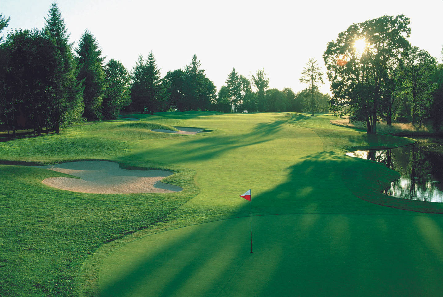 bright green golf course, golden sunrise light, lush green fairways, HD Desktop Wallpaper