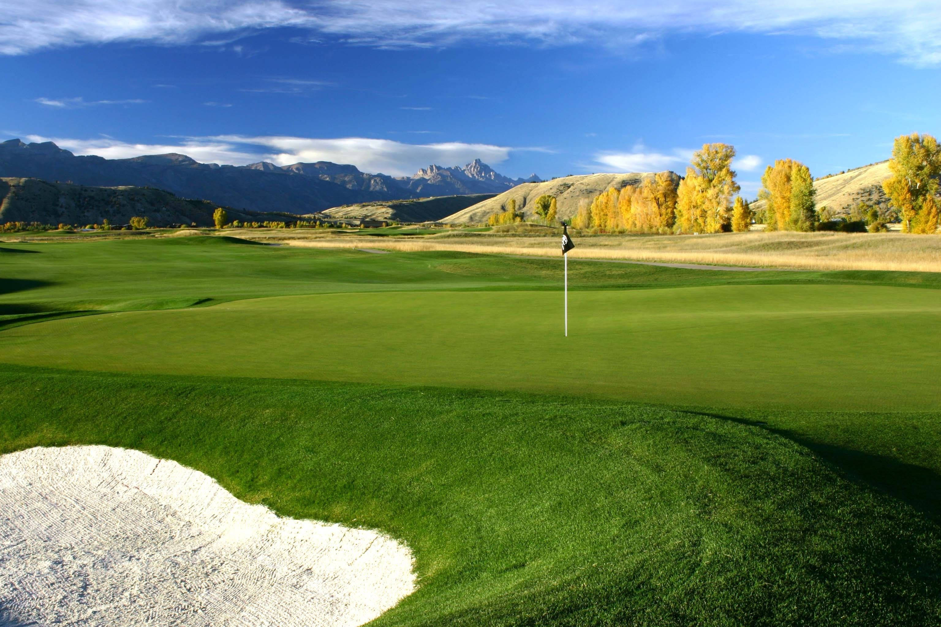 golf green, sand bunker, autumn trees, 2K Desktop Wallpaper