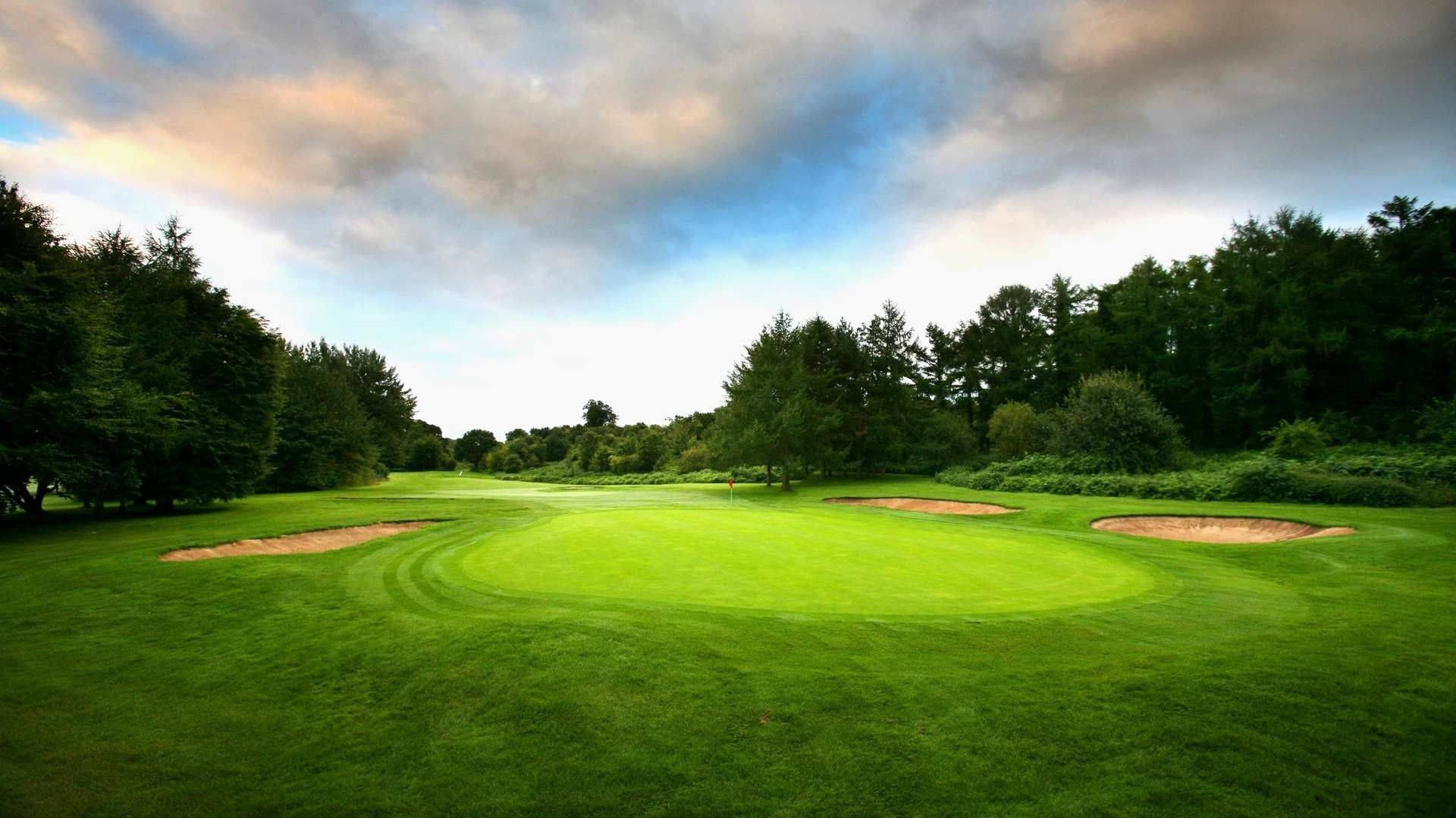 golf course, sand traps, trees, Full HD Desktop Wallpaper