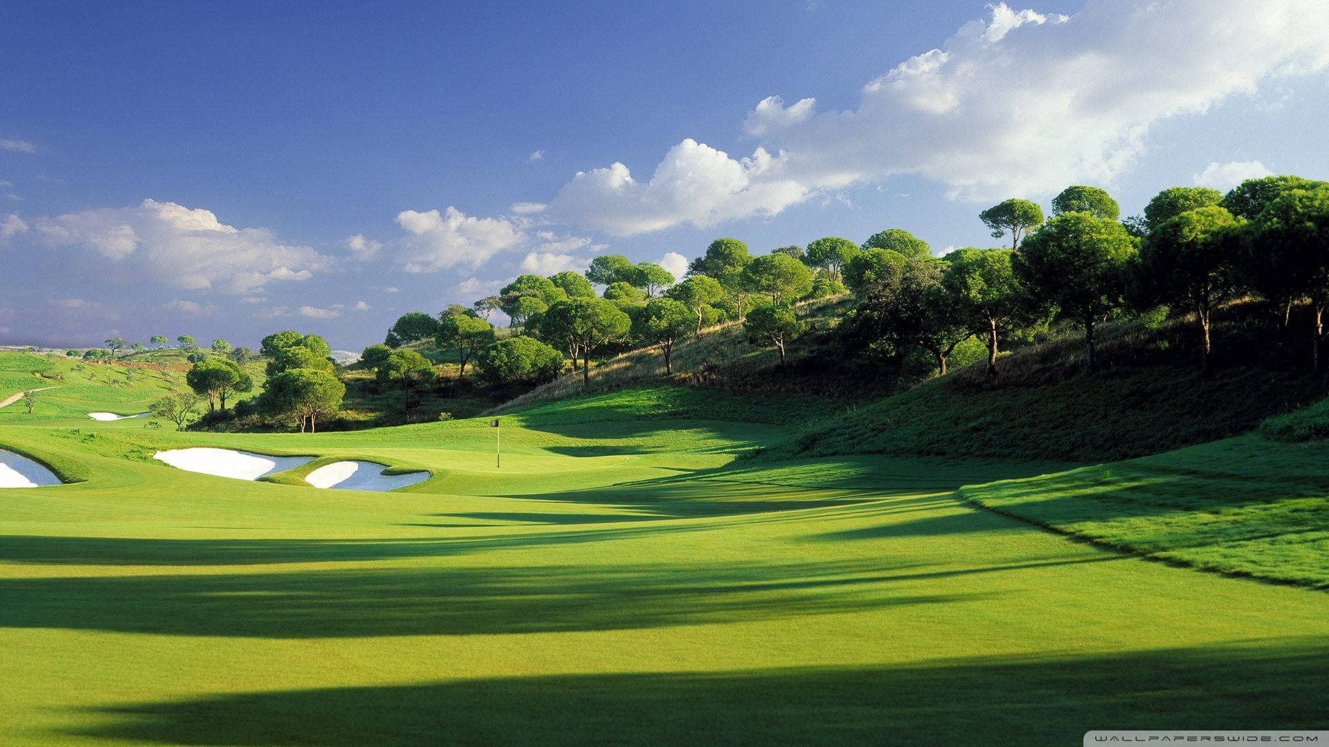 golf course, vibrant green fairways, sand traps, Full HD Desktop Wallpaper