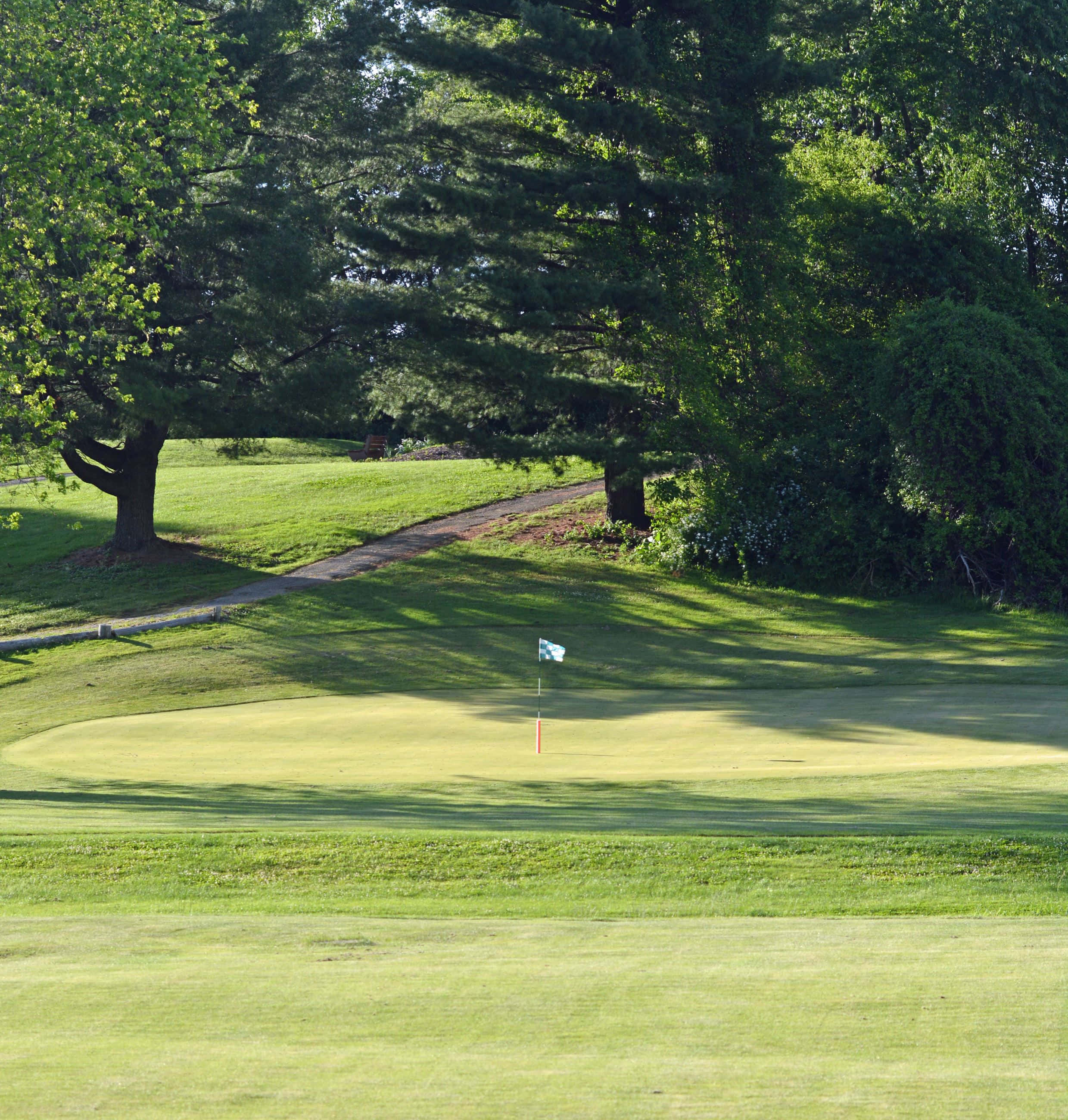 golf green, lush trees, dappled sunlight, 2K Phone Wallpaper