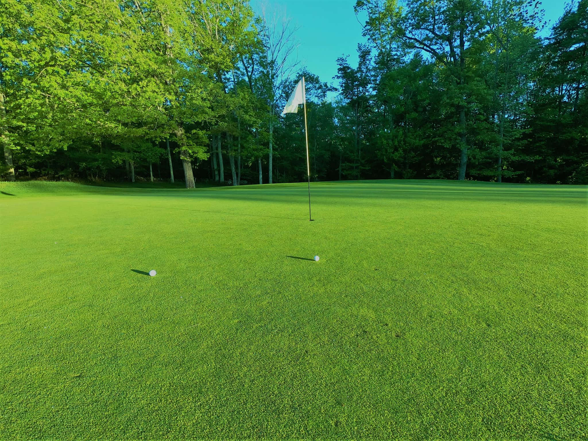 golf green, two balls near the hole, lush trees, Full HD Desktop Wallpaper