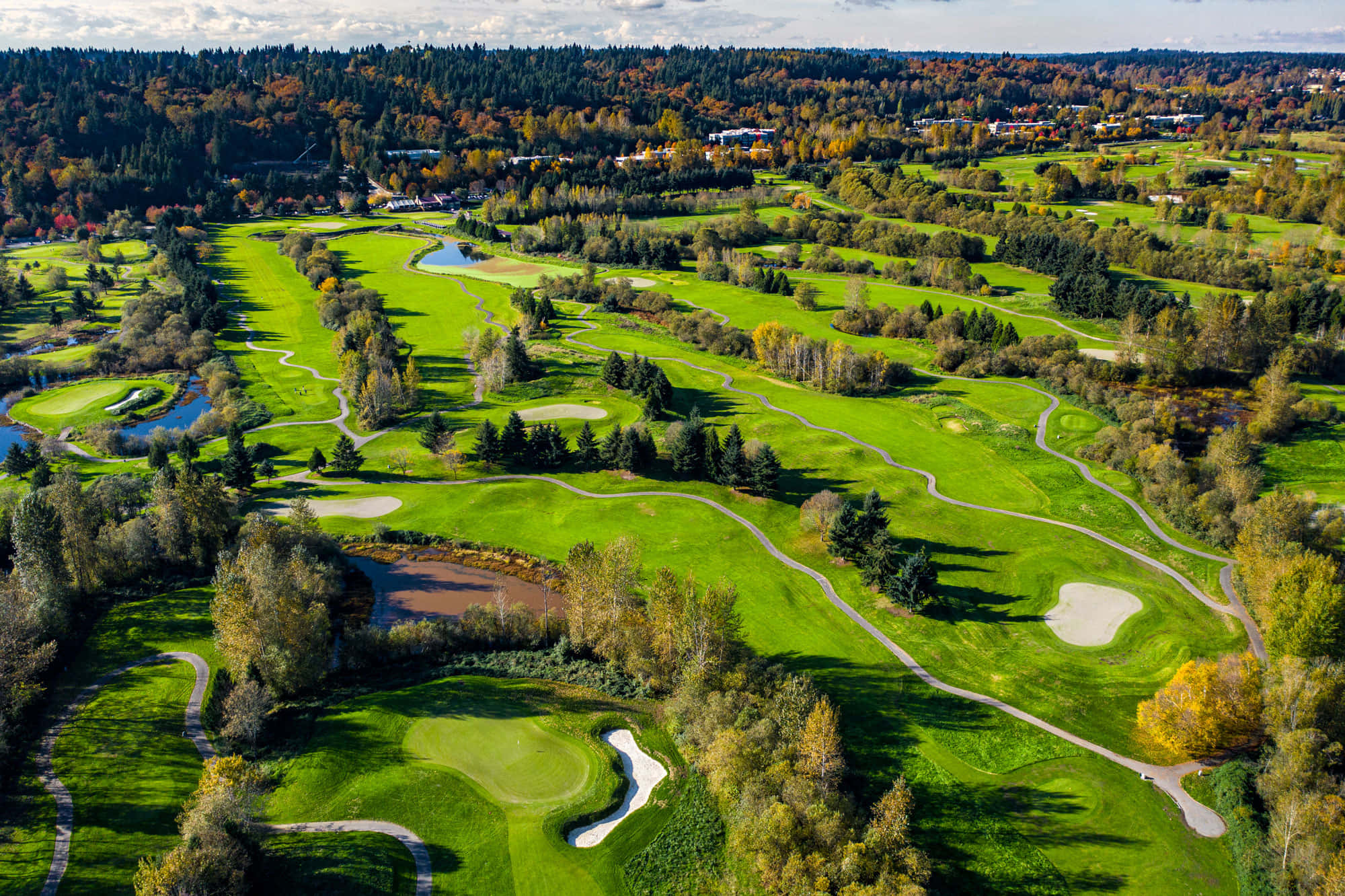 golf green, pristine green, autumn-colored forests, Full HD Desktop Wallpaper
