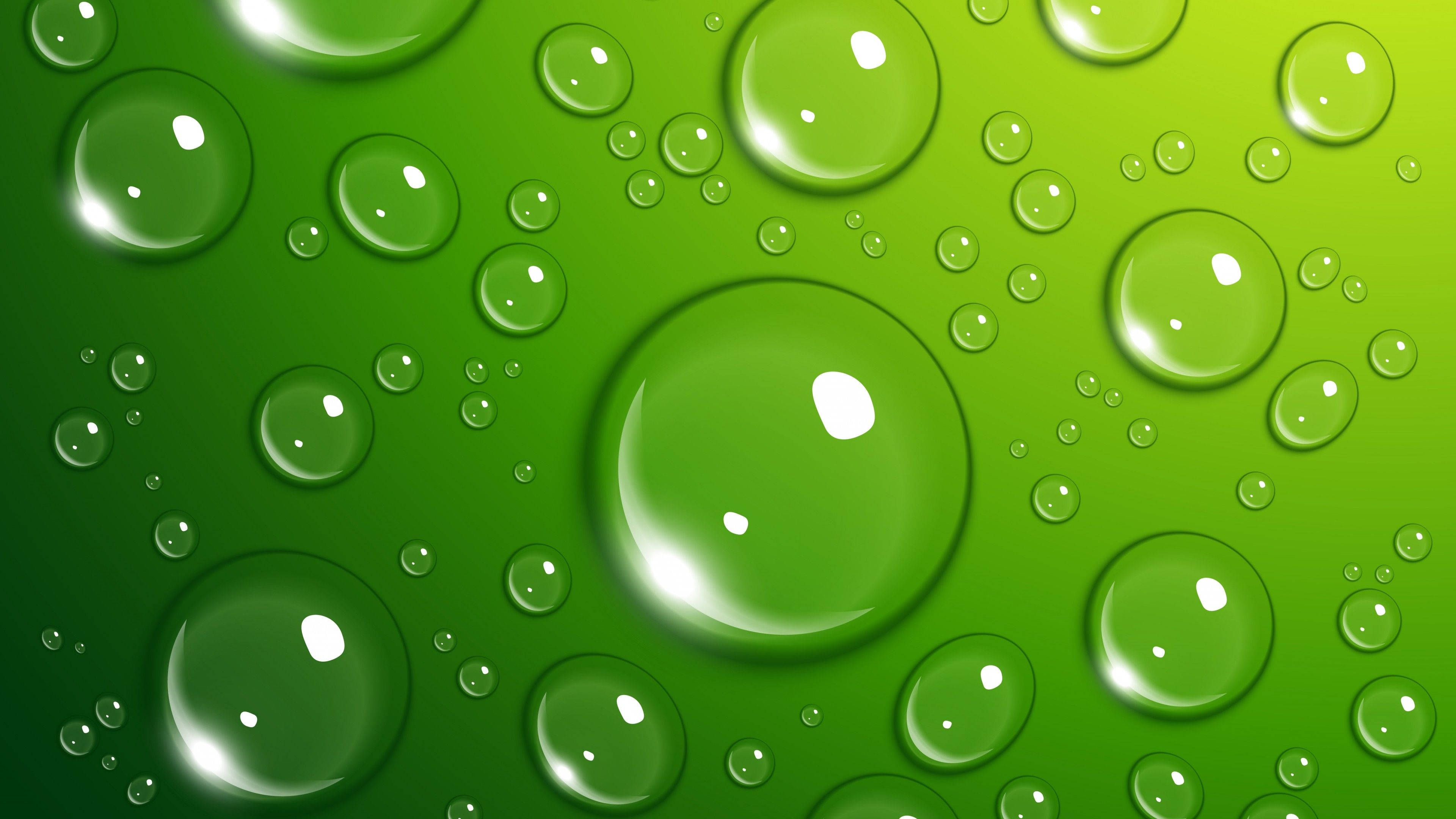 4K Green, green water droplets, vibrant gradient green surface, 4K Desktop Wallpaper