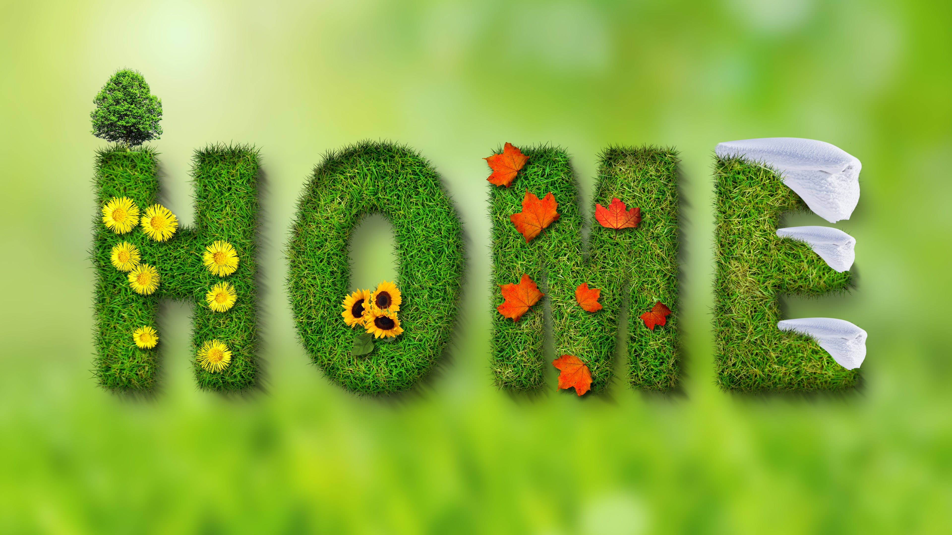 4K Green, home, lush green grass, 4K Desktop Wallpaper