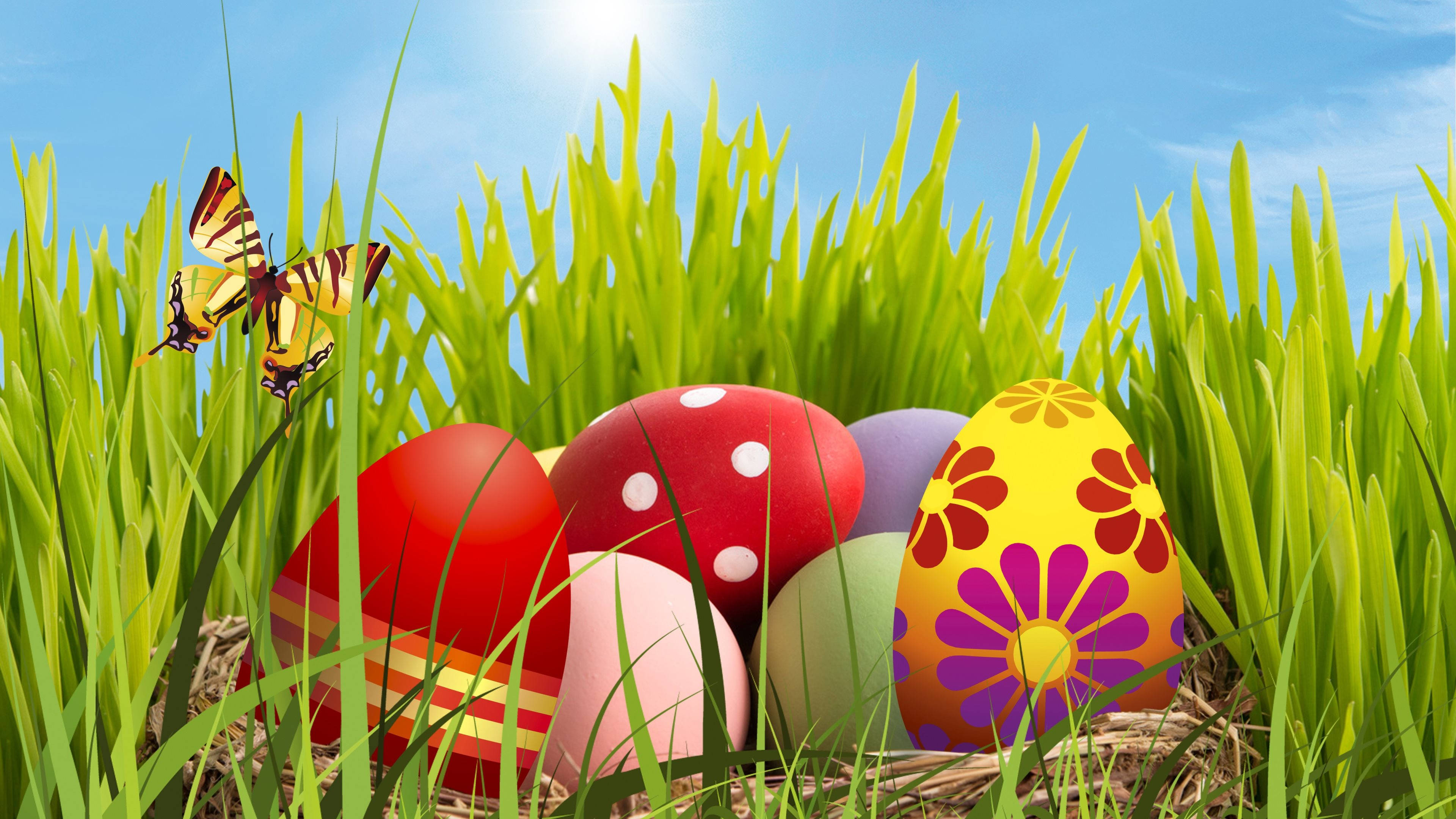 Easter eggs, tall green grass, bright blue sky, 4K Desktop Wallpaper