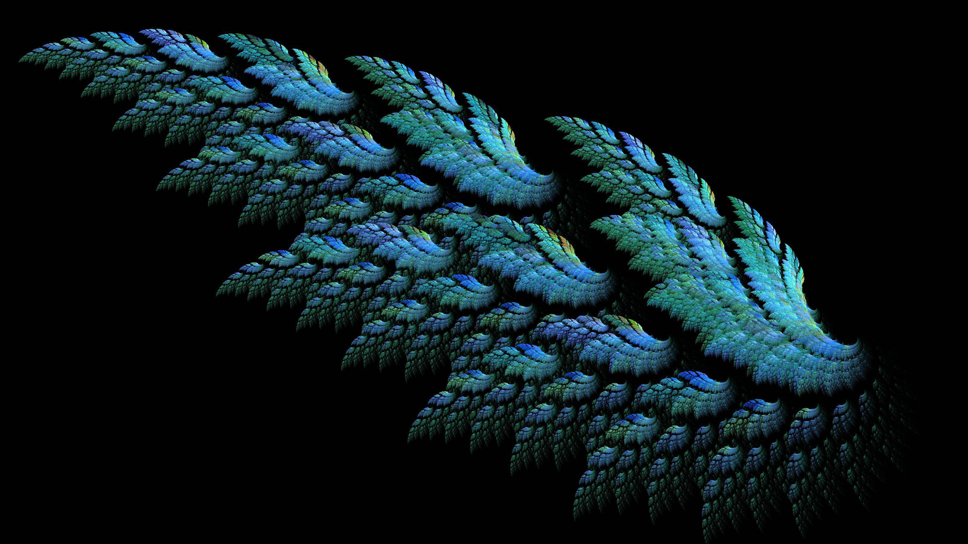 4K Green, angel wings, peacock, 4K Desktop Wallpaper