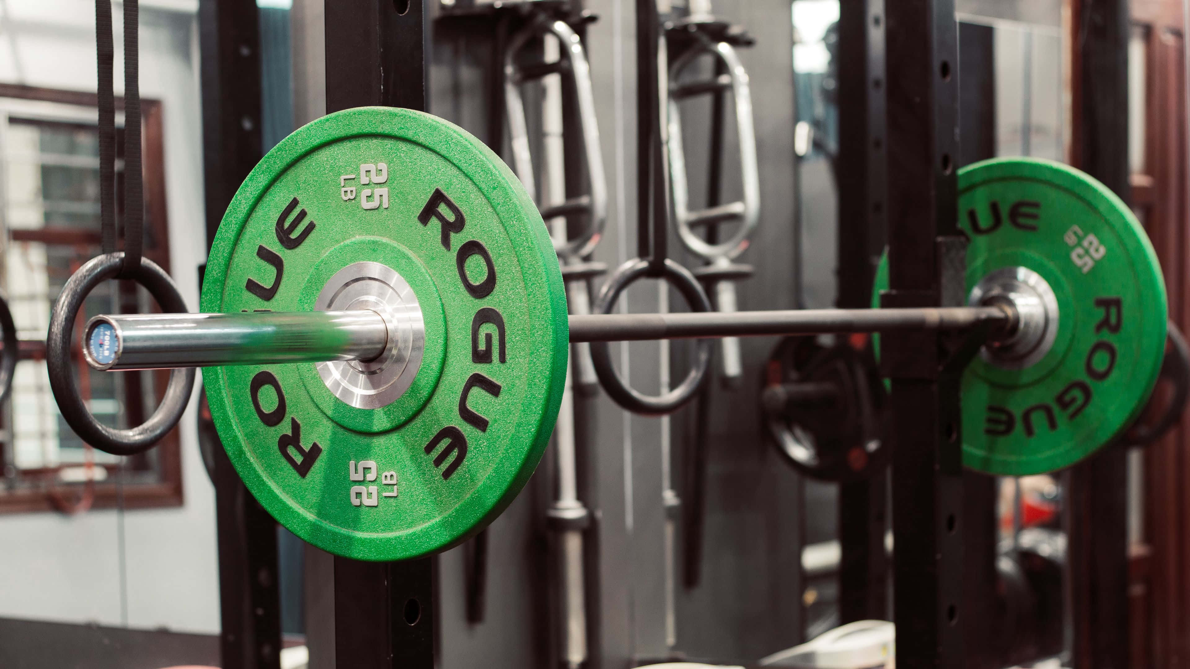 Rogue 55lb weight plate, barbell set, gym rack, 4K Desktop Wallpaper