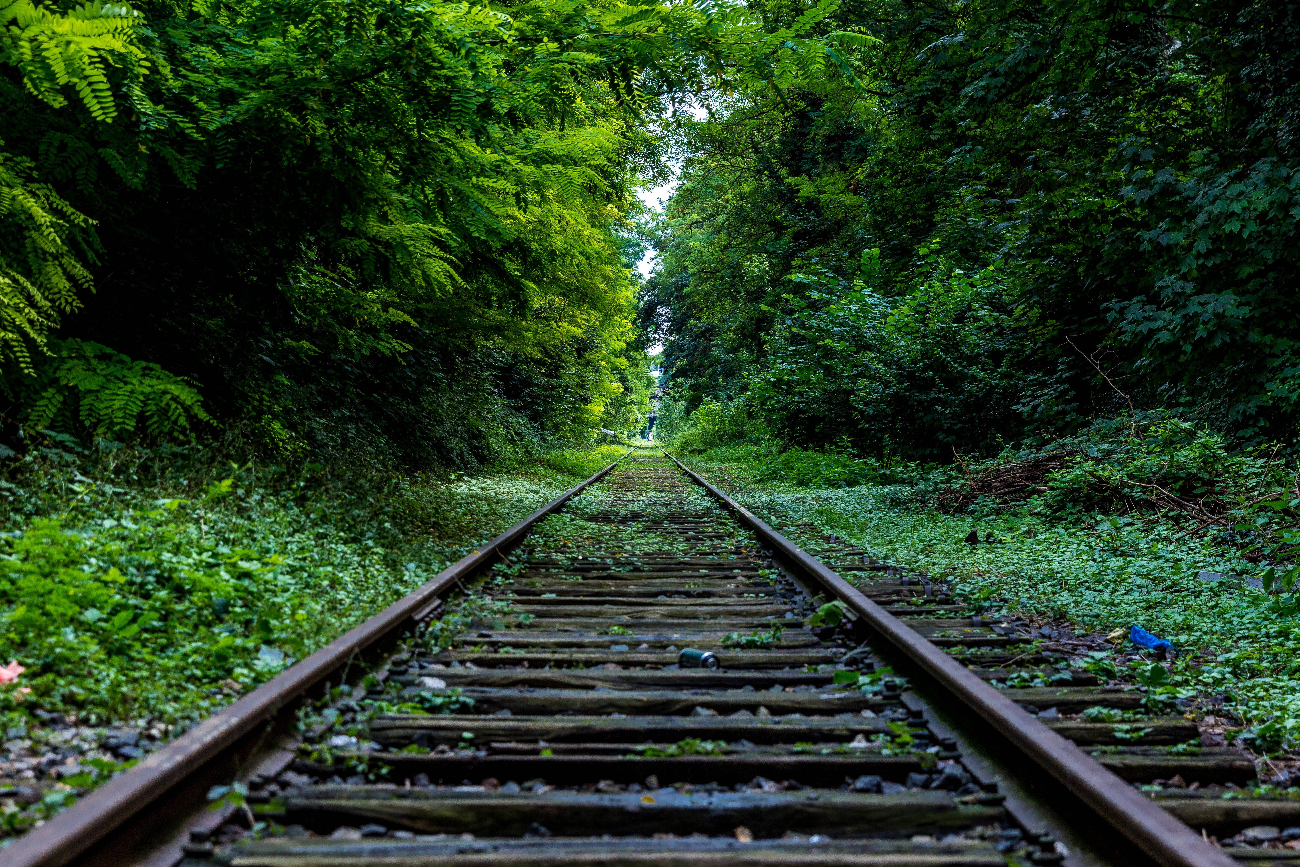 railway, 4K HD Laptop, green forest canopy, 5K Desktop Wallpaper