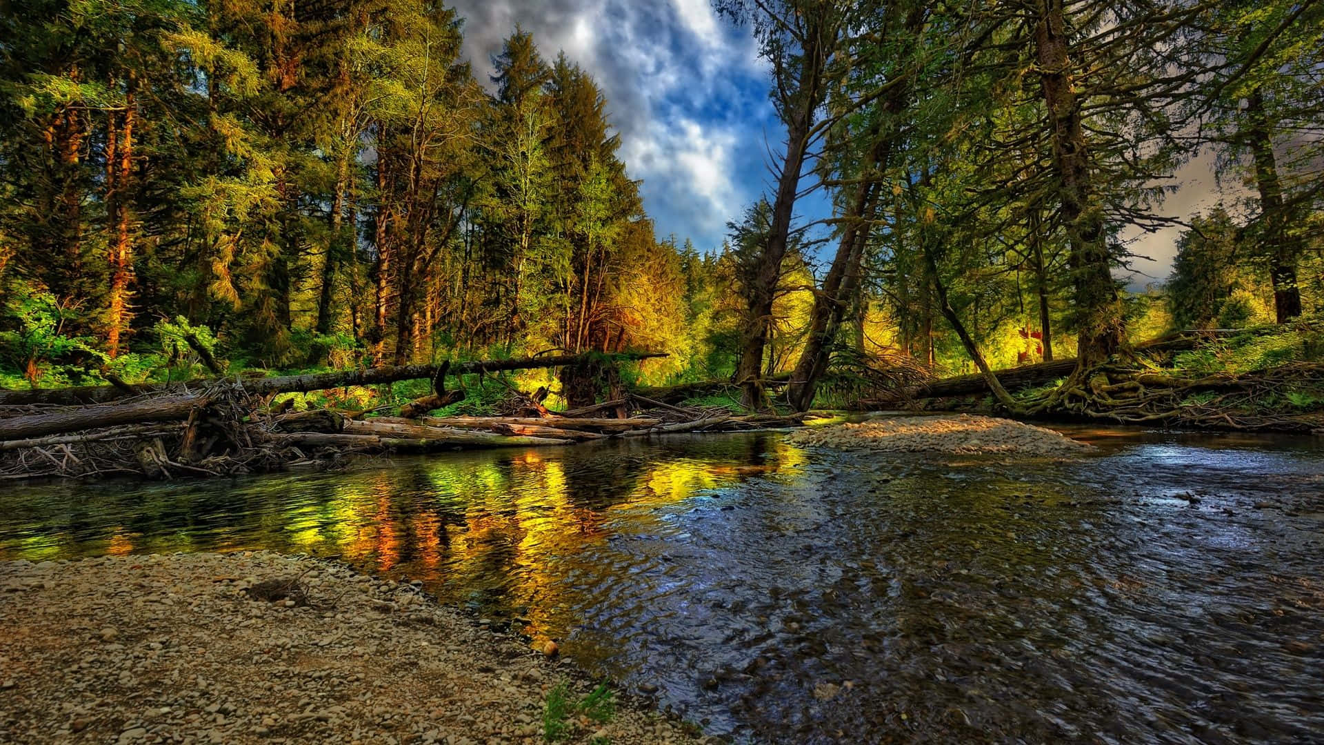 4K HDR, mountain landscape, sunlit forest stream, Full HD Desktop Wallpaper