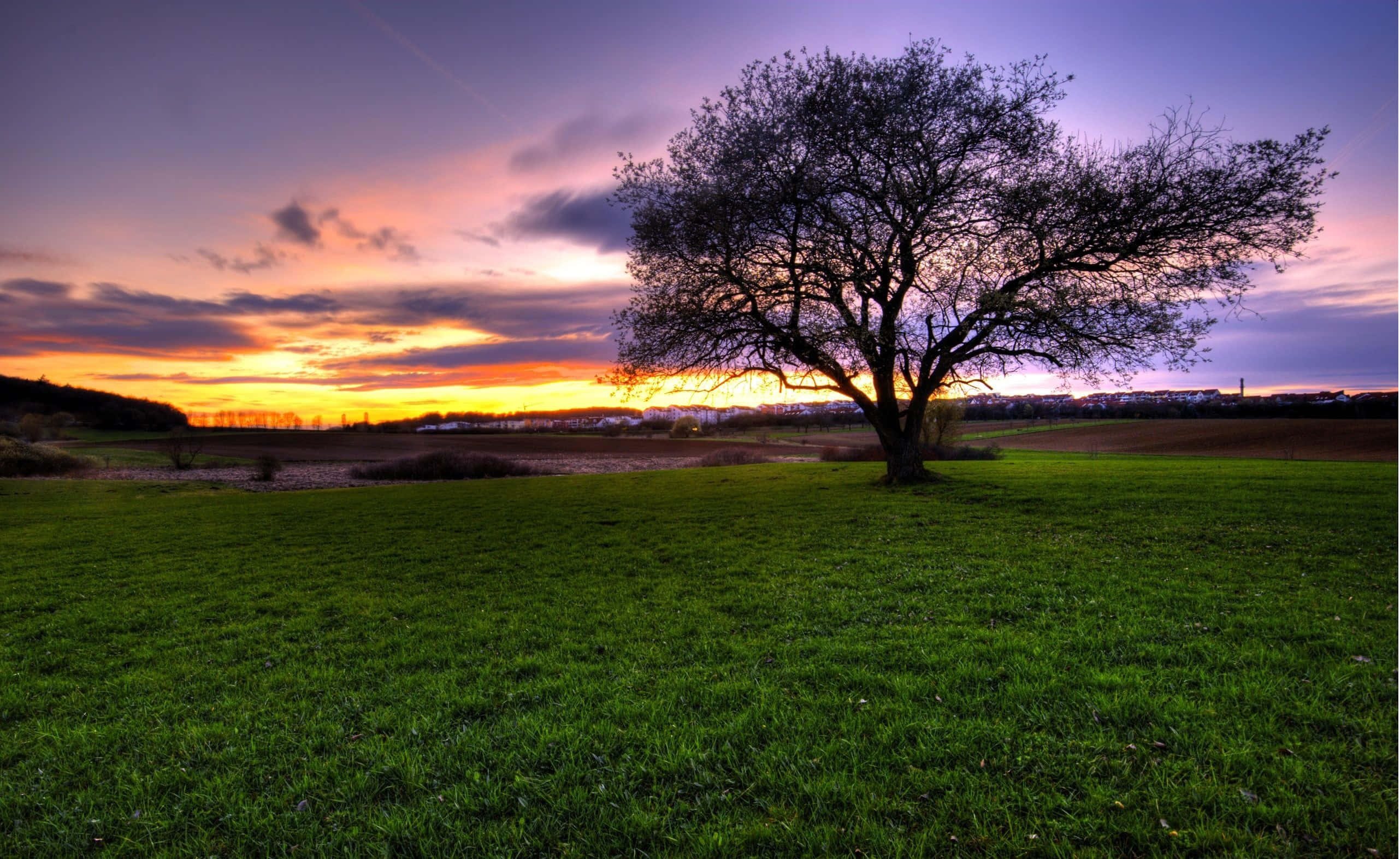 4K HDR, sunset, lush green field, 2K Desktop Wallpaper