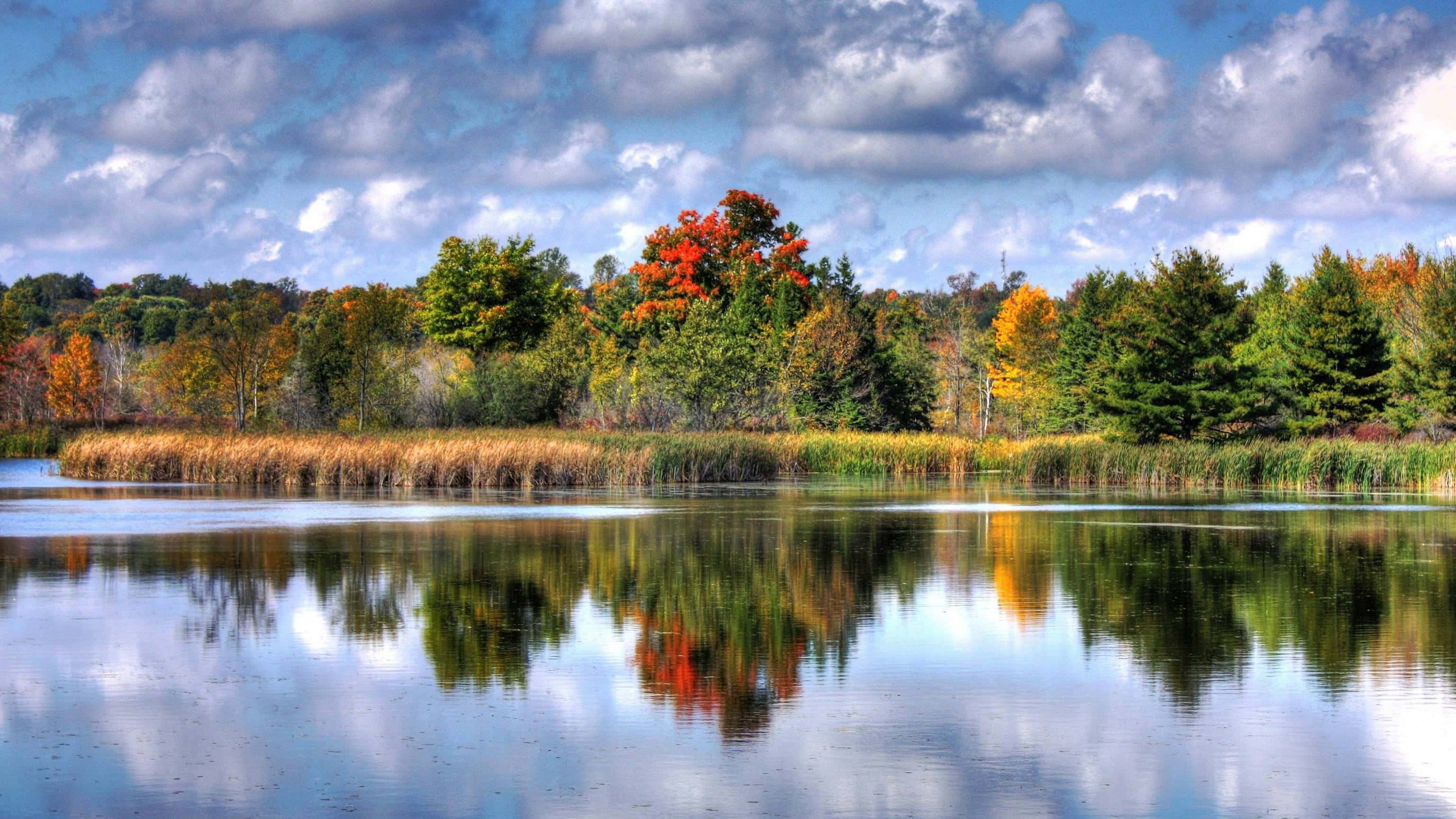 4K HDR, autumn lake, vibrant red orange and green trees, 2K Desktop Wallpaper