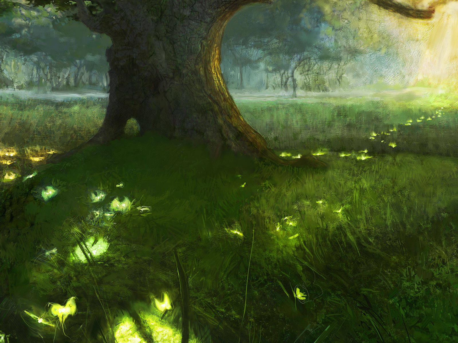 4K Nature Glowing Insects, ancient tree, misty forest, HD Desktop Wallpaper