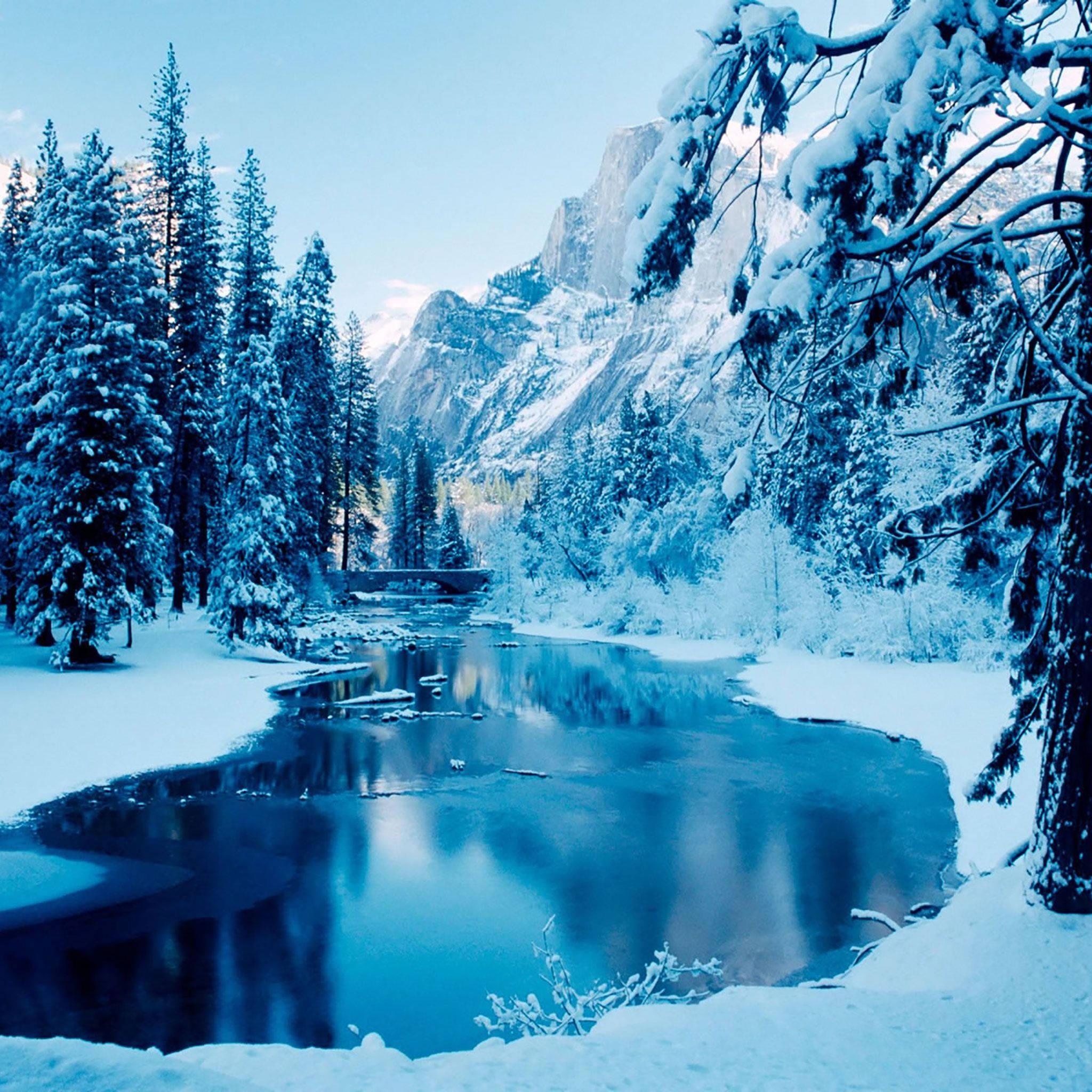4K iPad, winter landscape, snow-covered pine trees, Full HD Desktop Wallpaper
