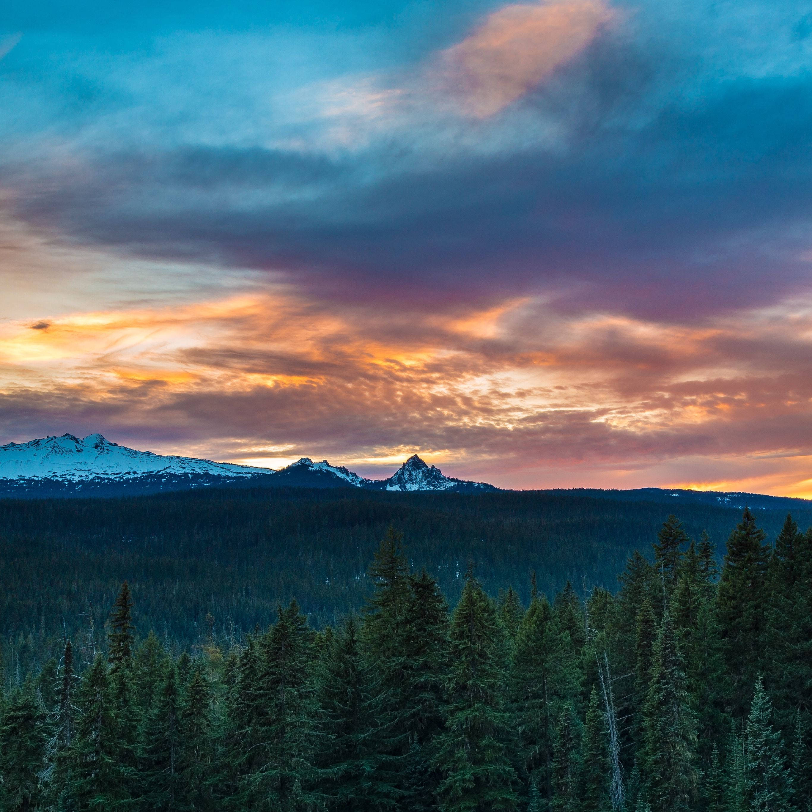 4K iPad, snowcapped mountains, dense pine forest, 2K Desktop Wallpaper