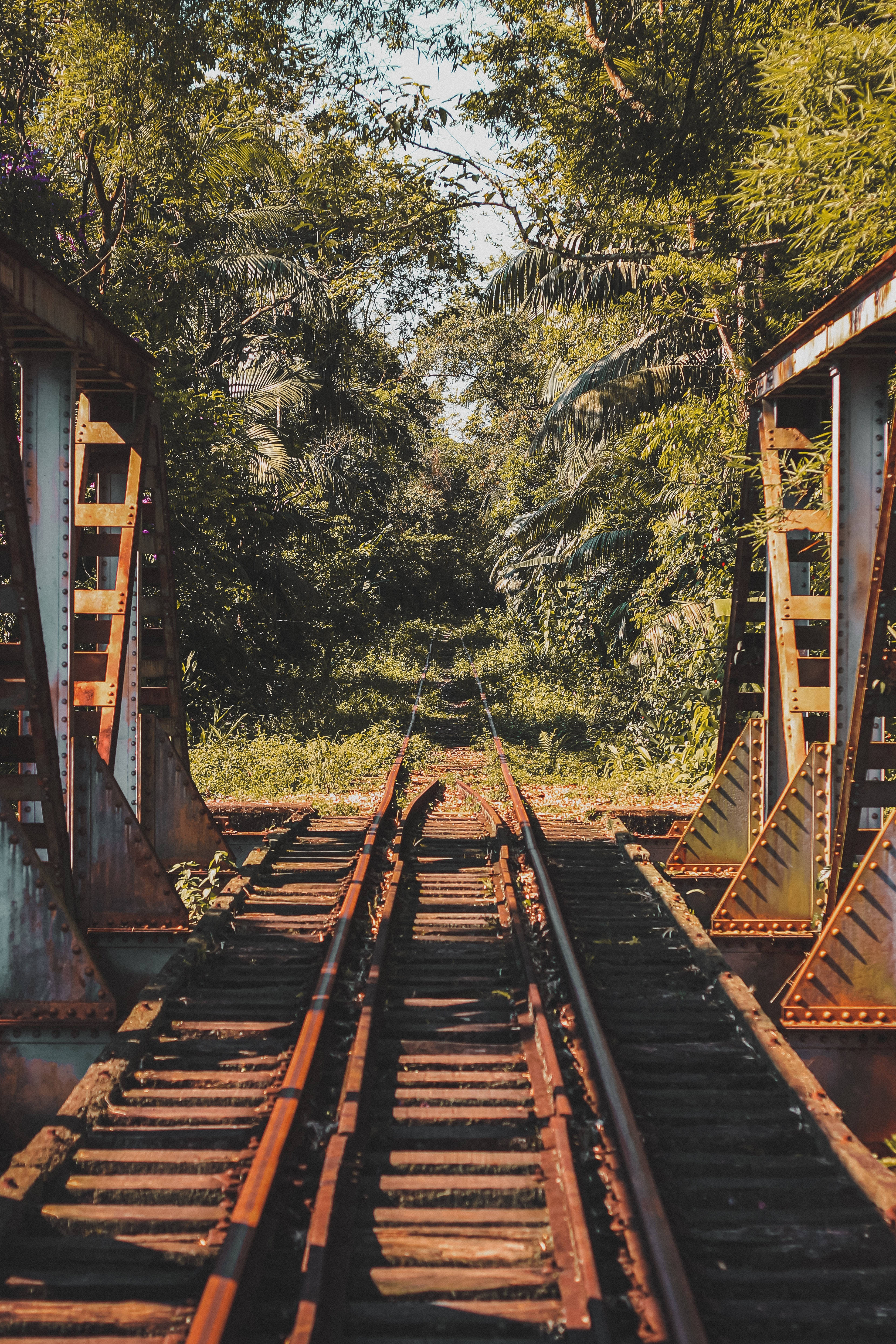 4K iPhone 6 Plus, bridge, sunlight, 4K Phone Wallpaper
