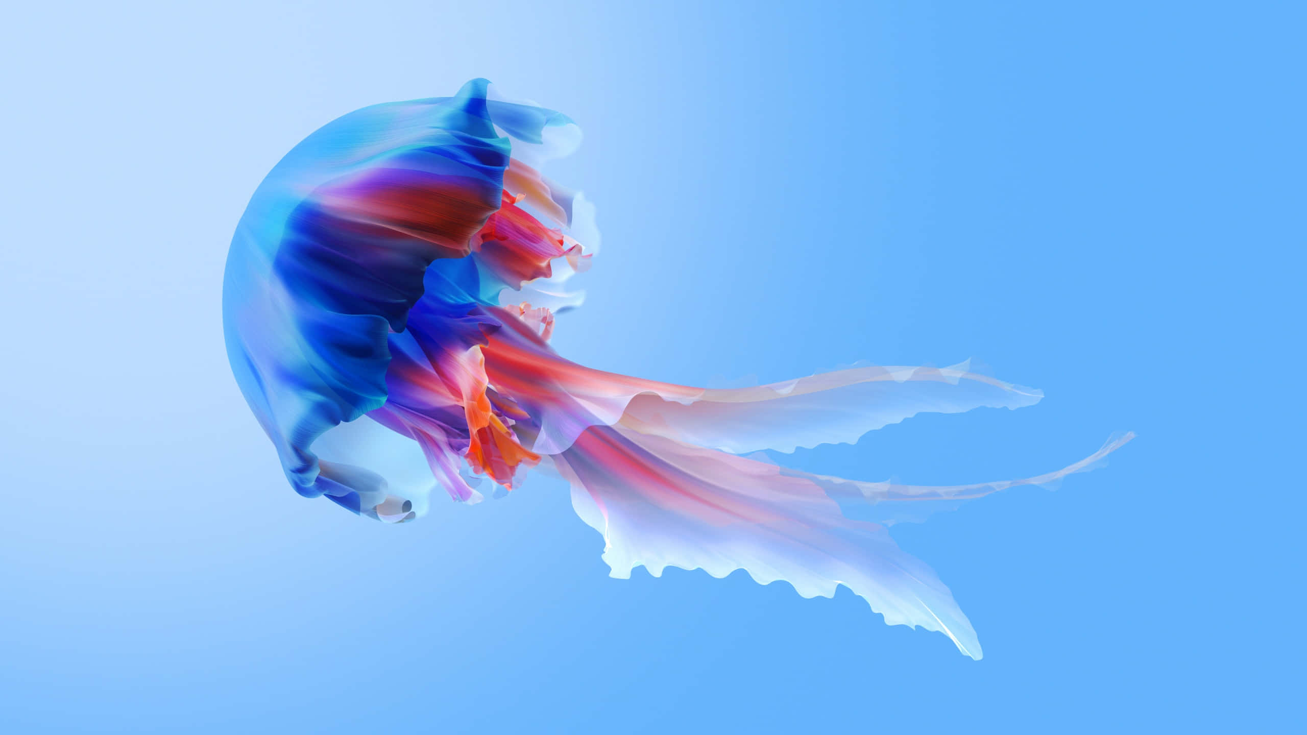 vibrant jellyfish, blue purple and orange tentacles, soft gradient blue background, 2K Desktop Wallpaper