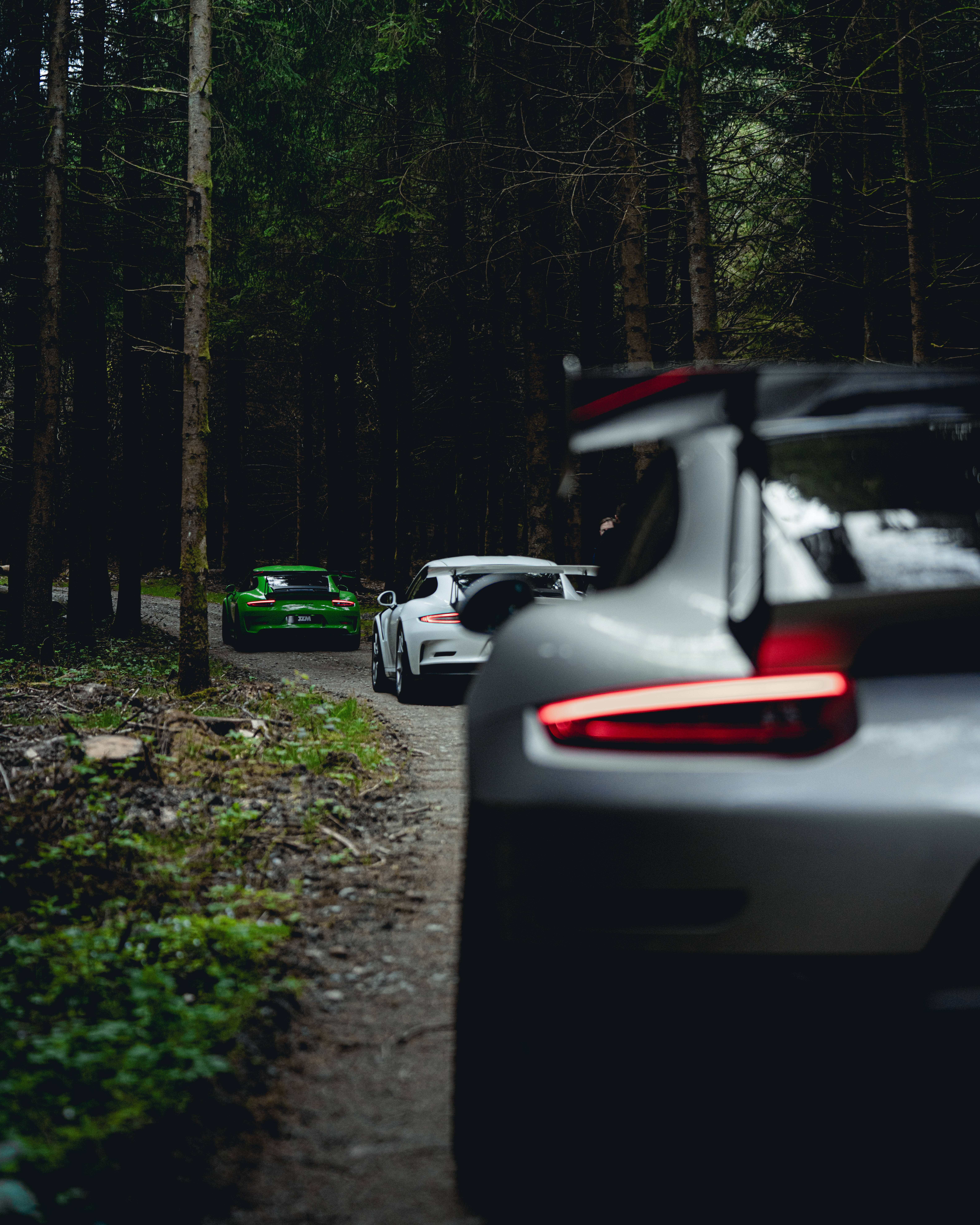 4K Lamborghini, glowing taillights, narrow forest trail, 8K Phone Wallpaper