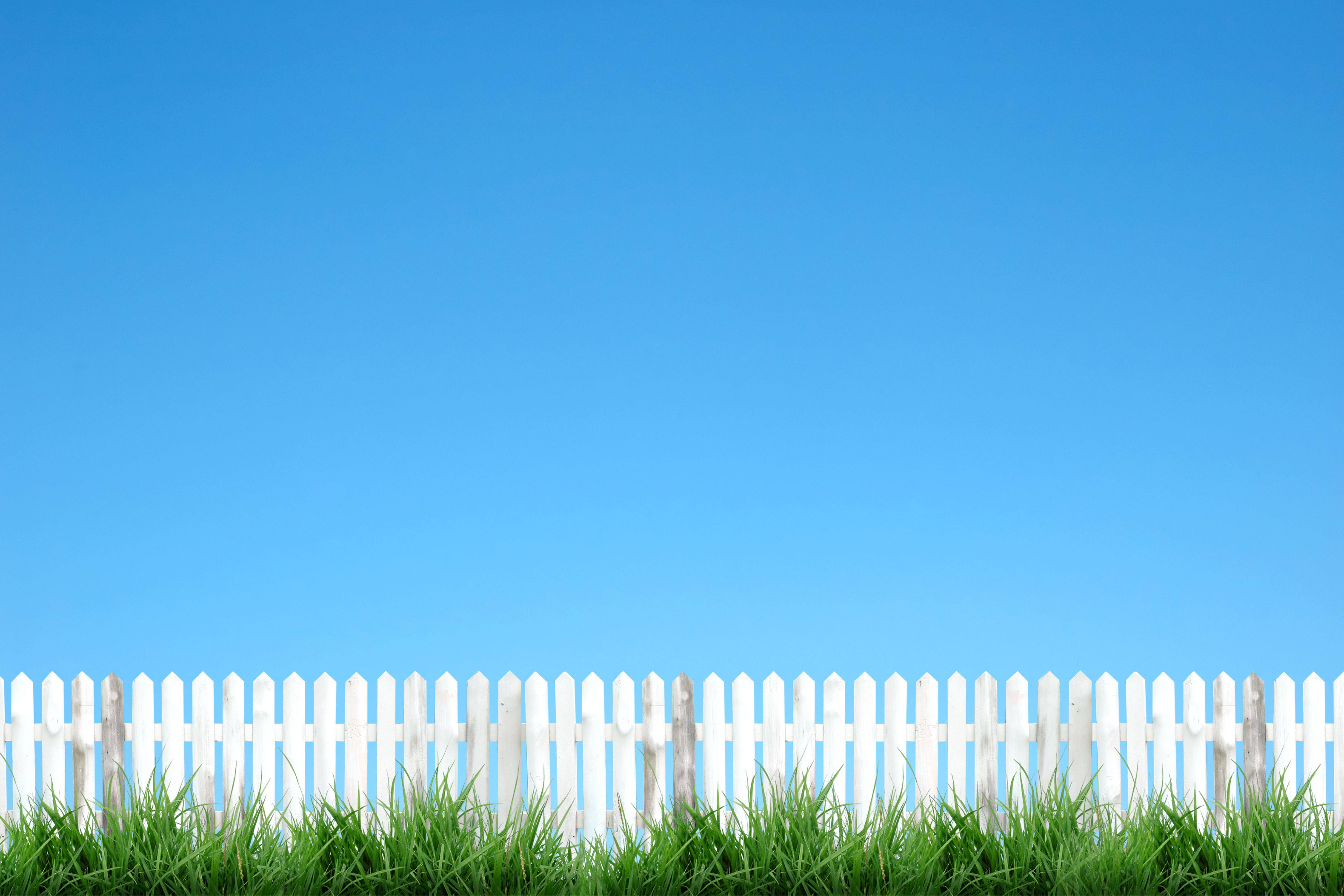 white picket fence, vibrant green grass, clear blue sky, 5K Desktop Wallpaper