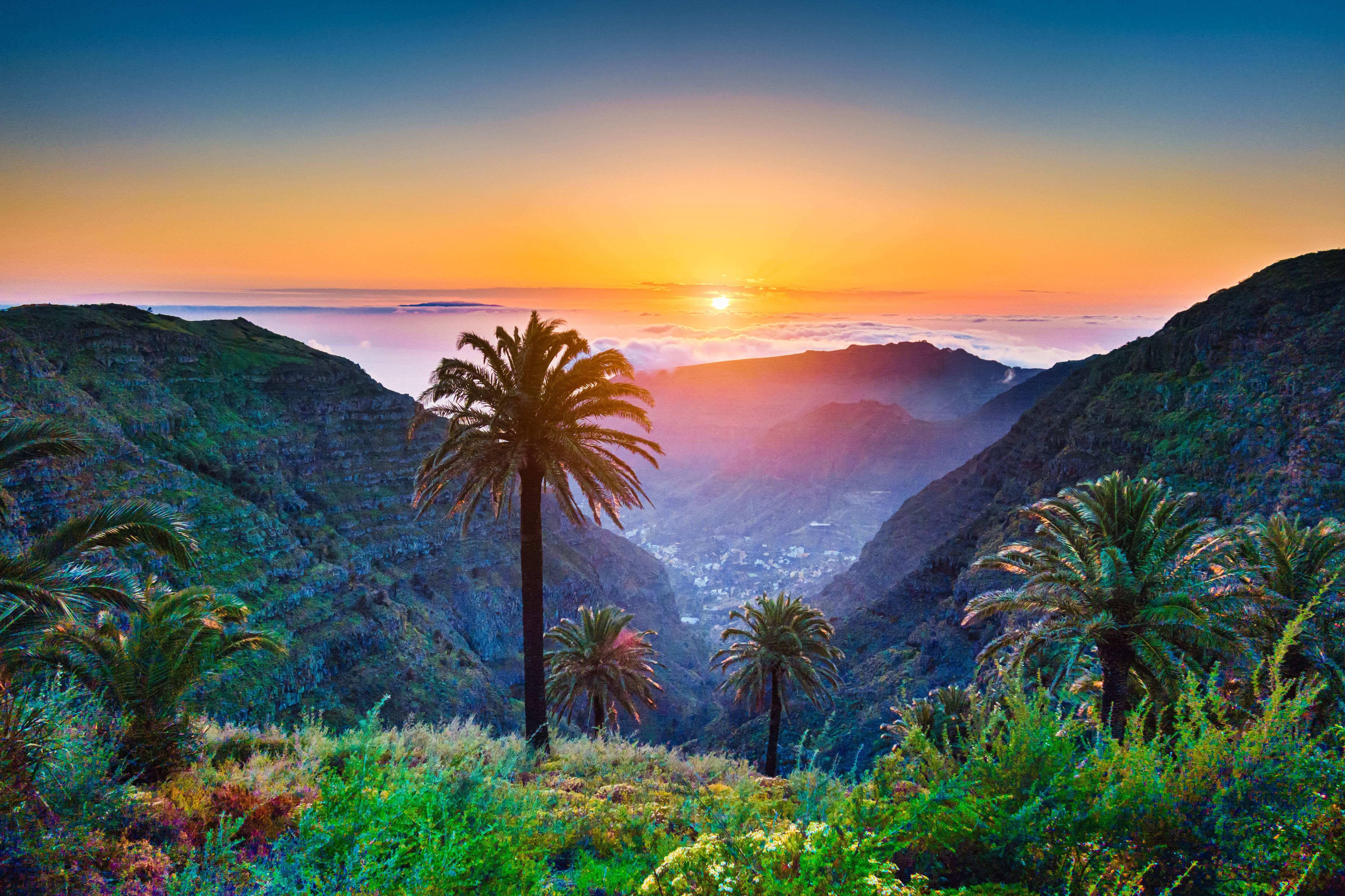 tropical palm trees, sunset, valley, 5K Desktop Wallpaper