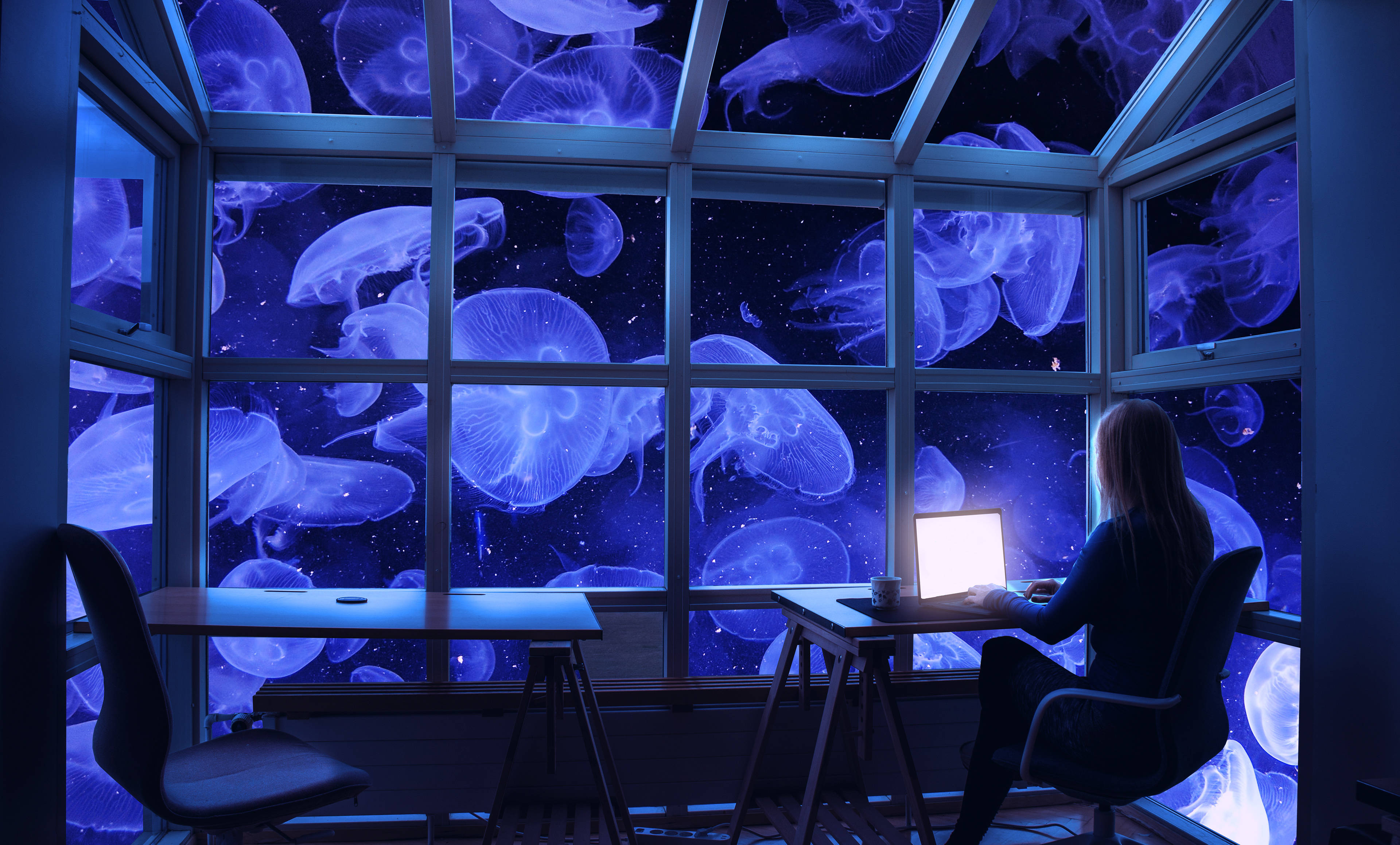 4K Laptop, jellyfish-filled window, glowing blue jellyfish, 4K Desktop Wallpaper