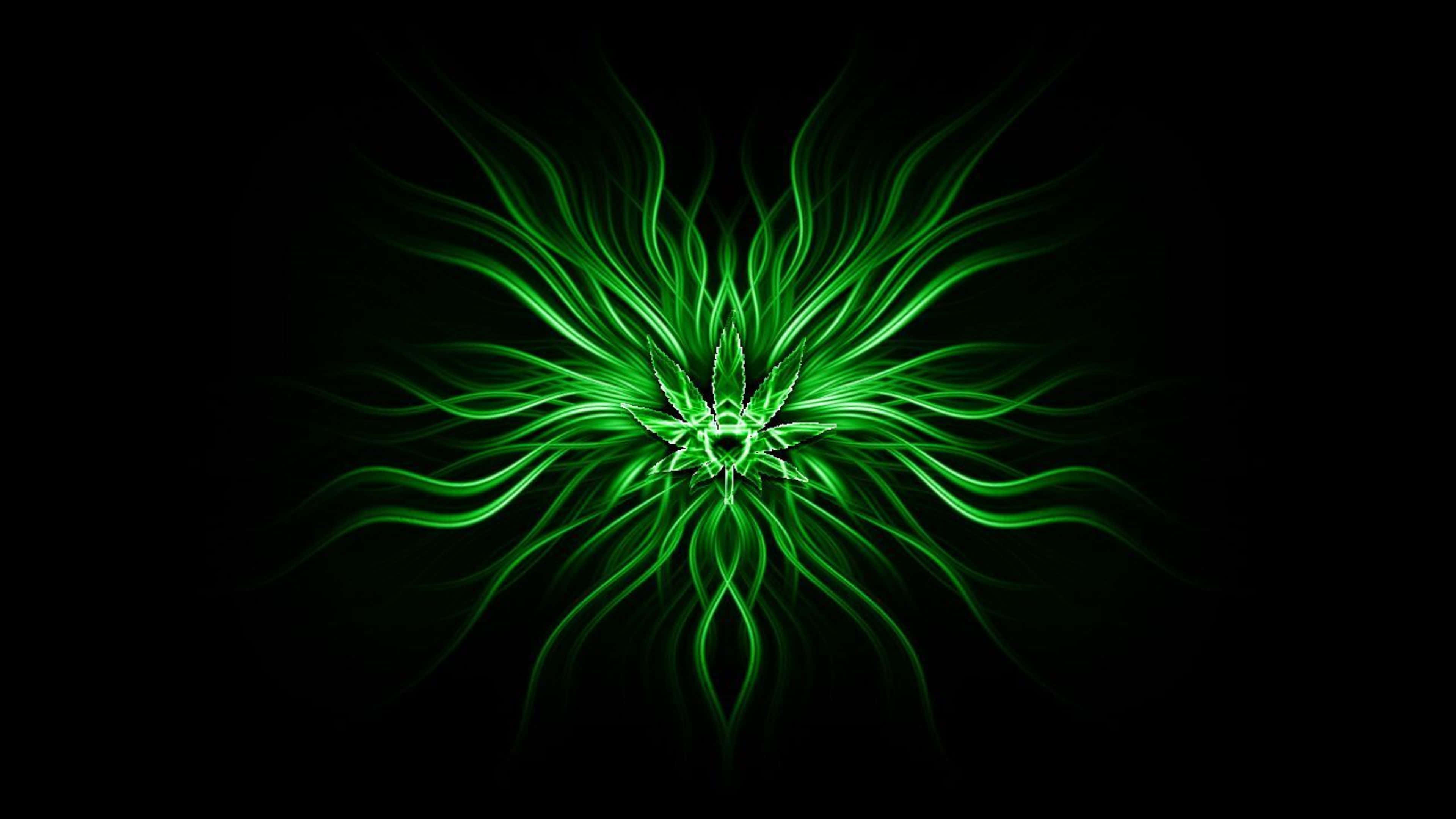 green fractal art, glowing green fractal cannabis leaf, electric tendrils, 4K Desktop Wallpaper
