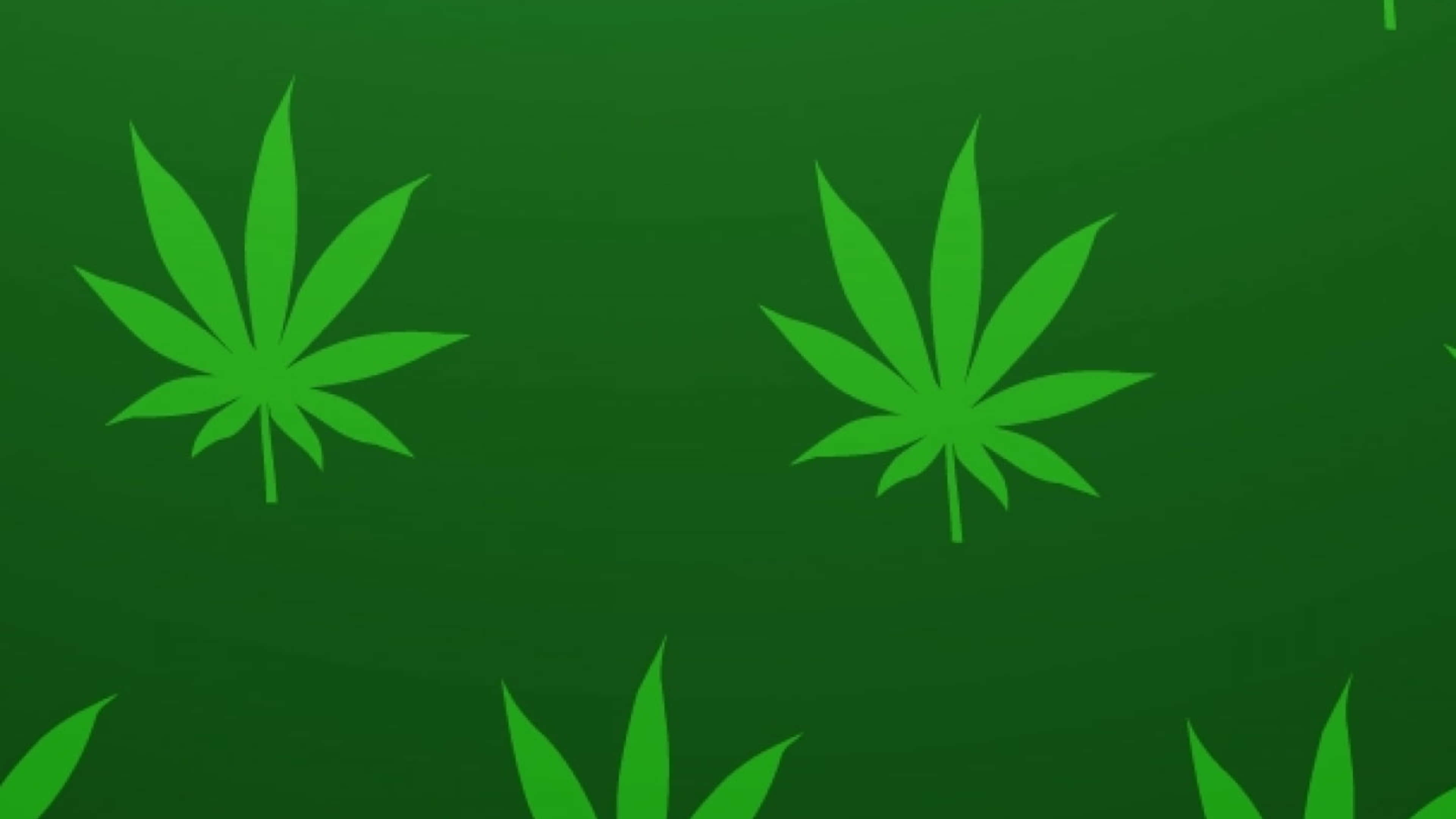 4K Marijuana, vibrant green cannabis leaves, gradient dark green background, 4K Desktop Wallpaper