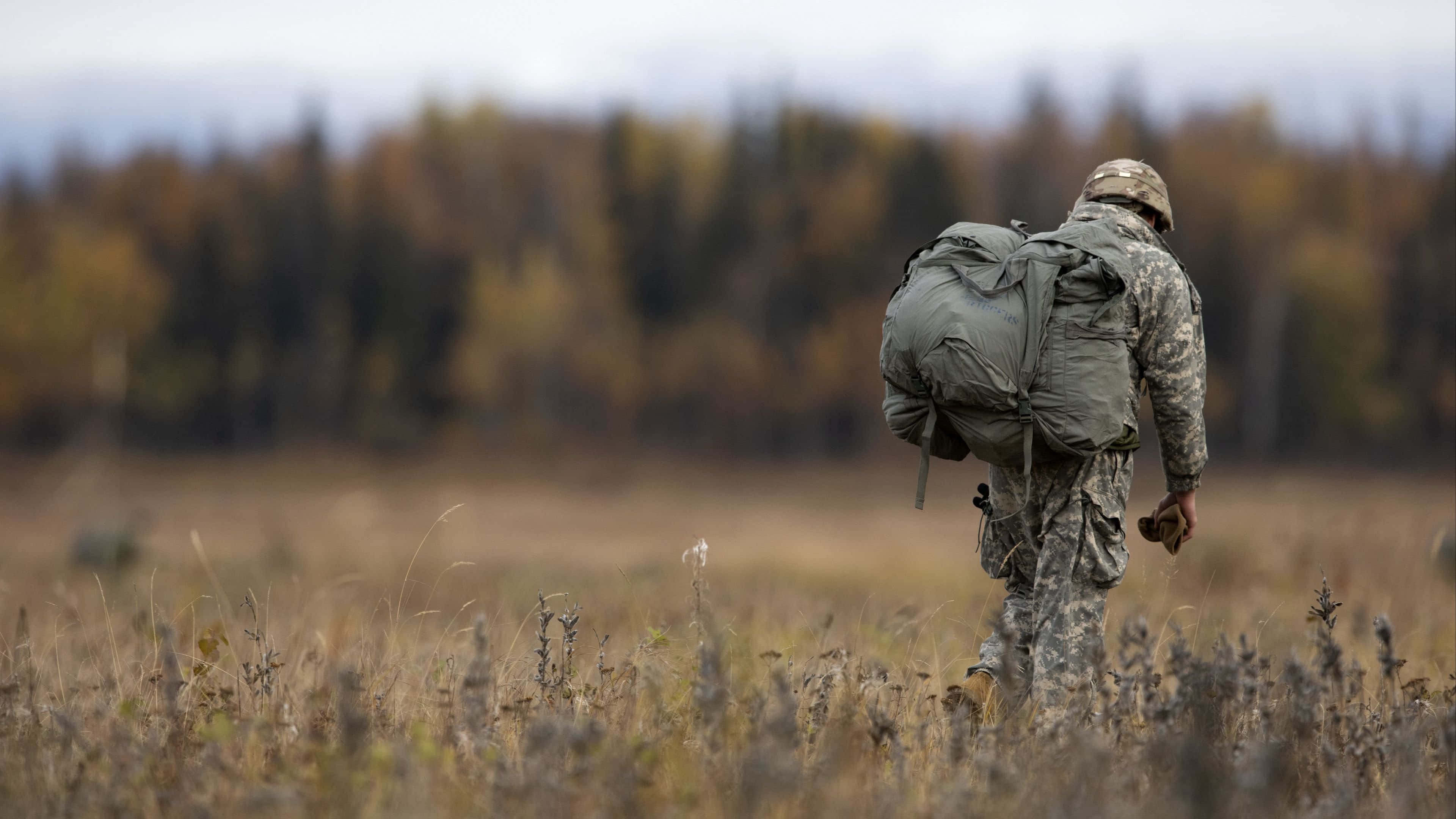 camouflage gear, dry grassy field, autumn trees, 4K Desktop Wallpaper