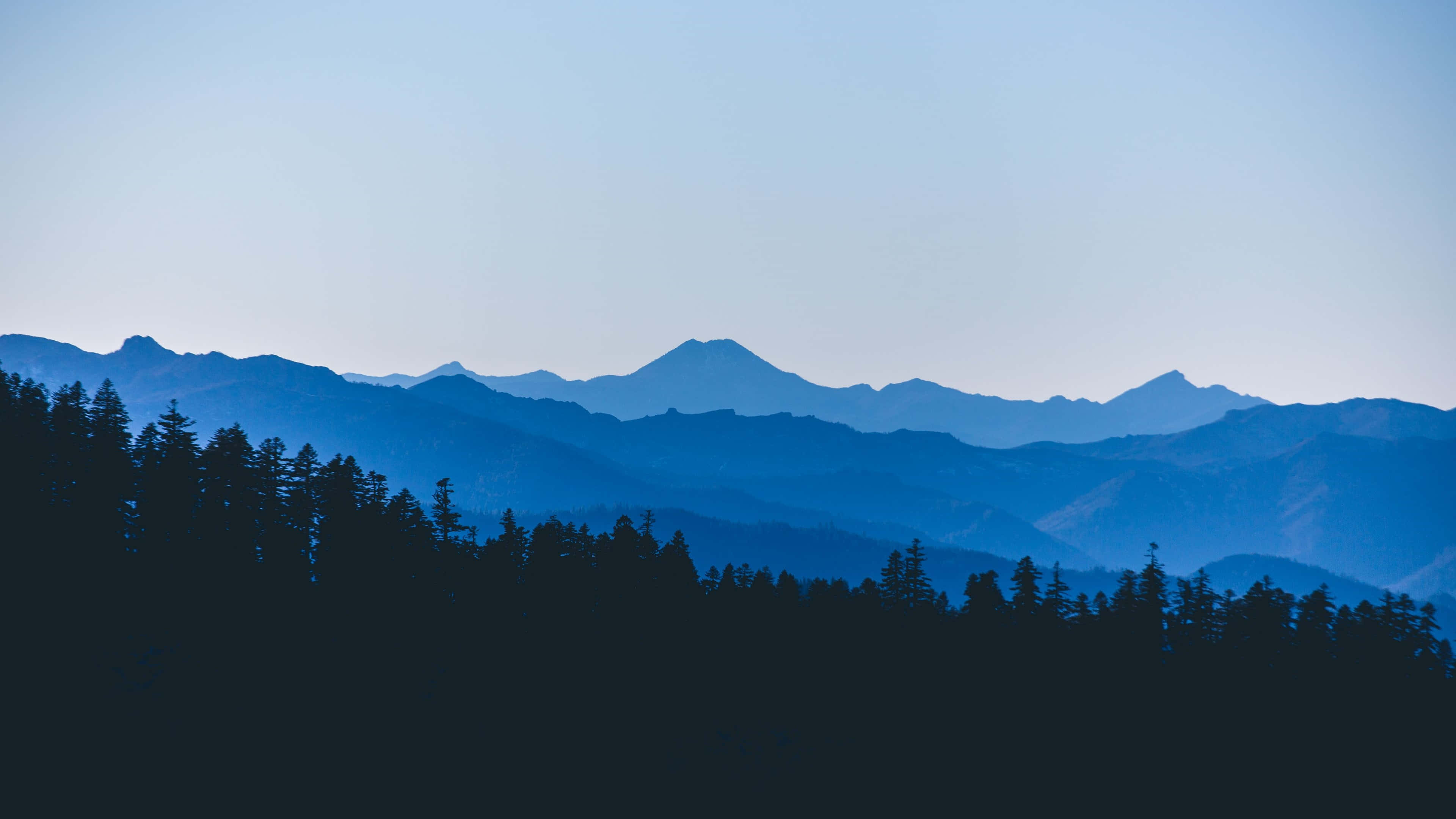 4K Minimal, blue mountain ranges, silhouetted pine trees, 4K Desktop Wallpaper