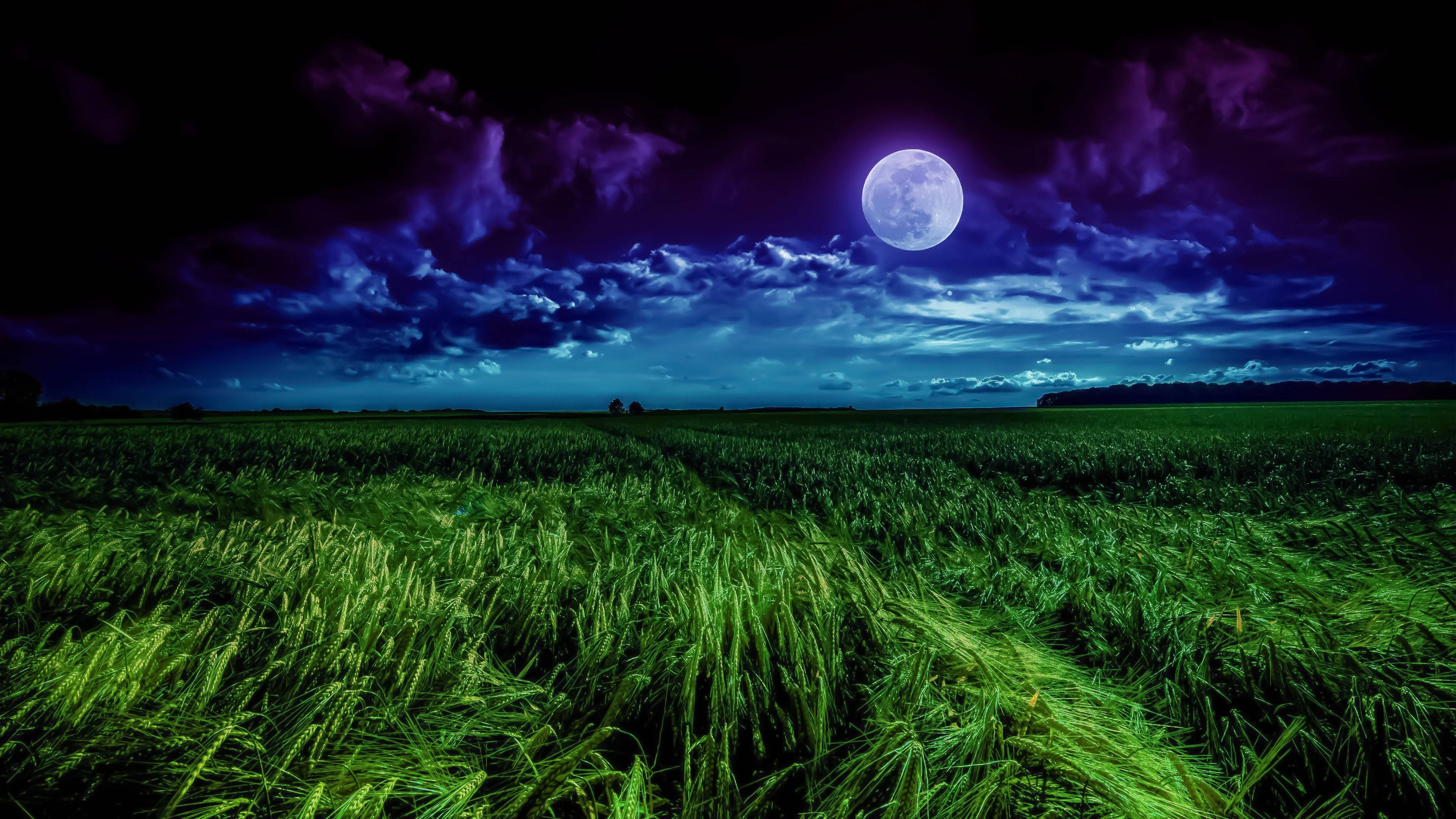 Moon, 4K, blue aesthetic, 4K Desktop Wallpaper