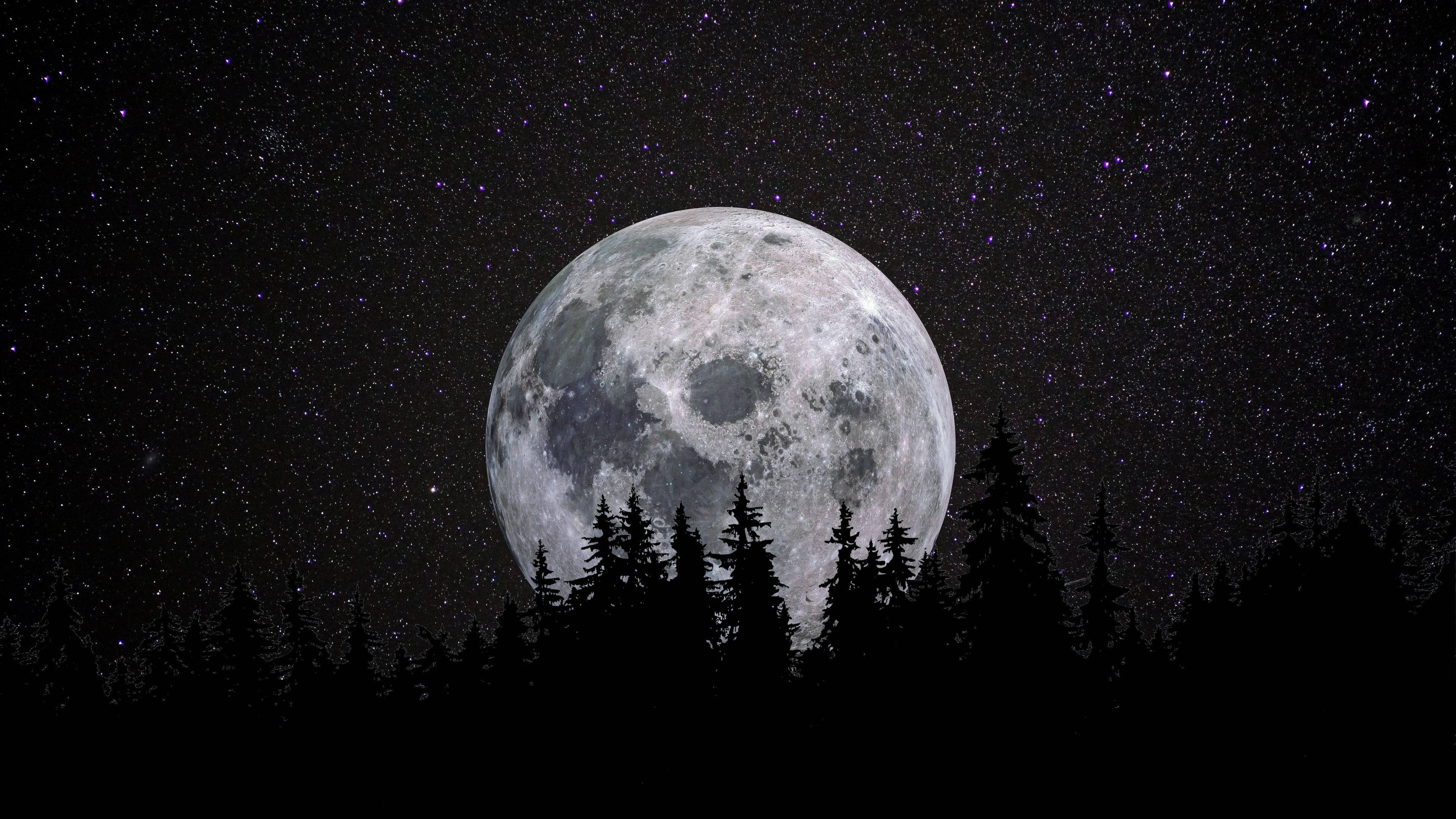 full moon, dark pine forest, starry night sky, 4K Desktop Wallpaper