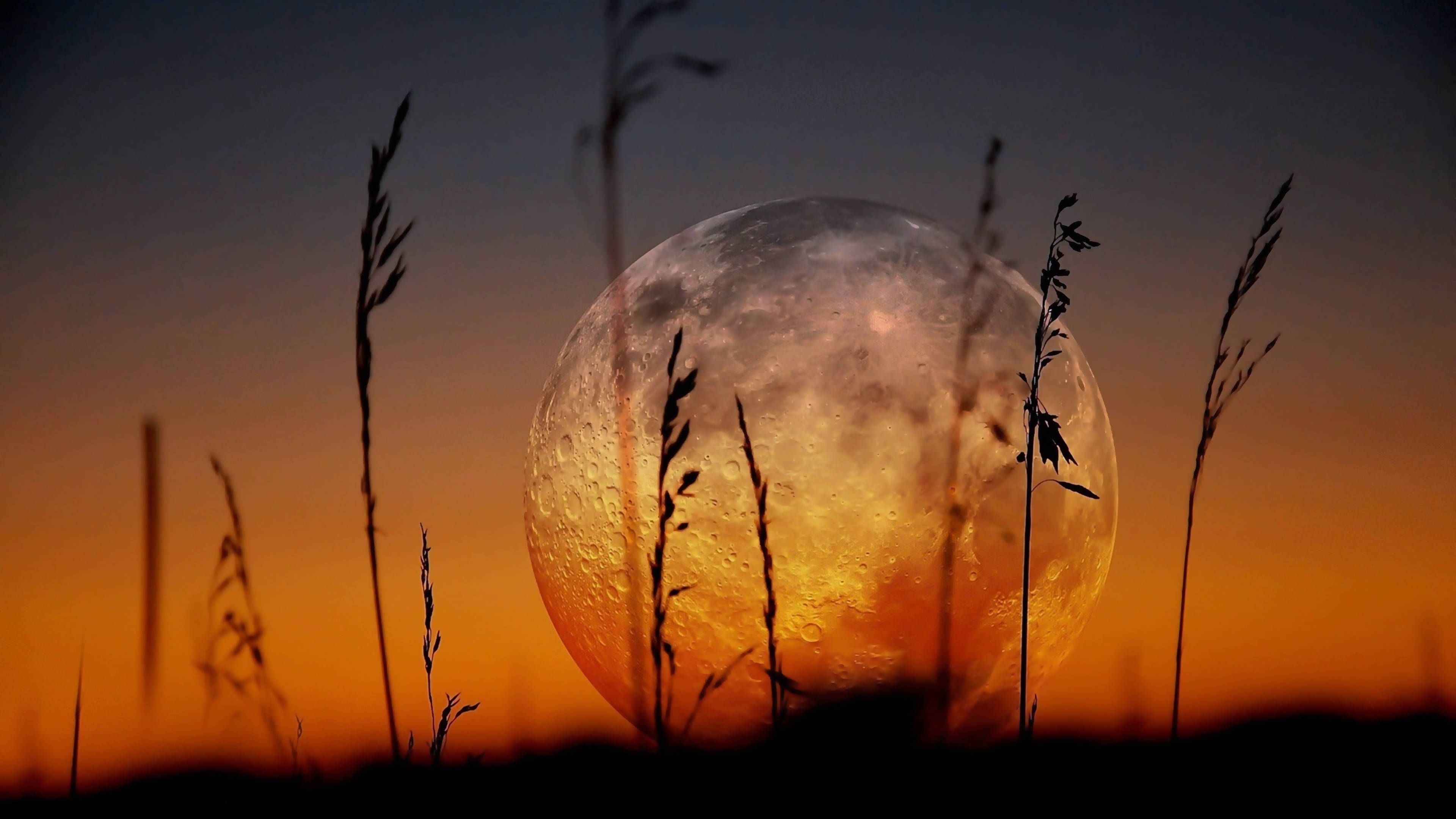 4D Ultra HD Moon, full moon, amber, 4K Desktop Wallpaper