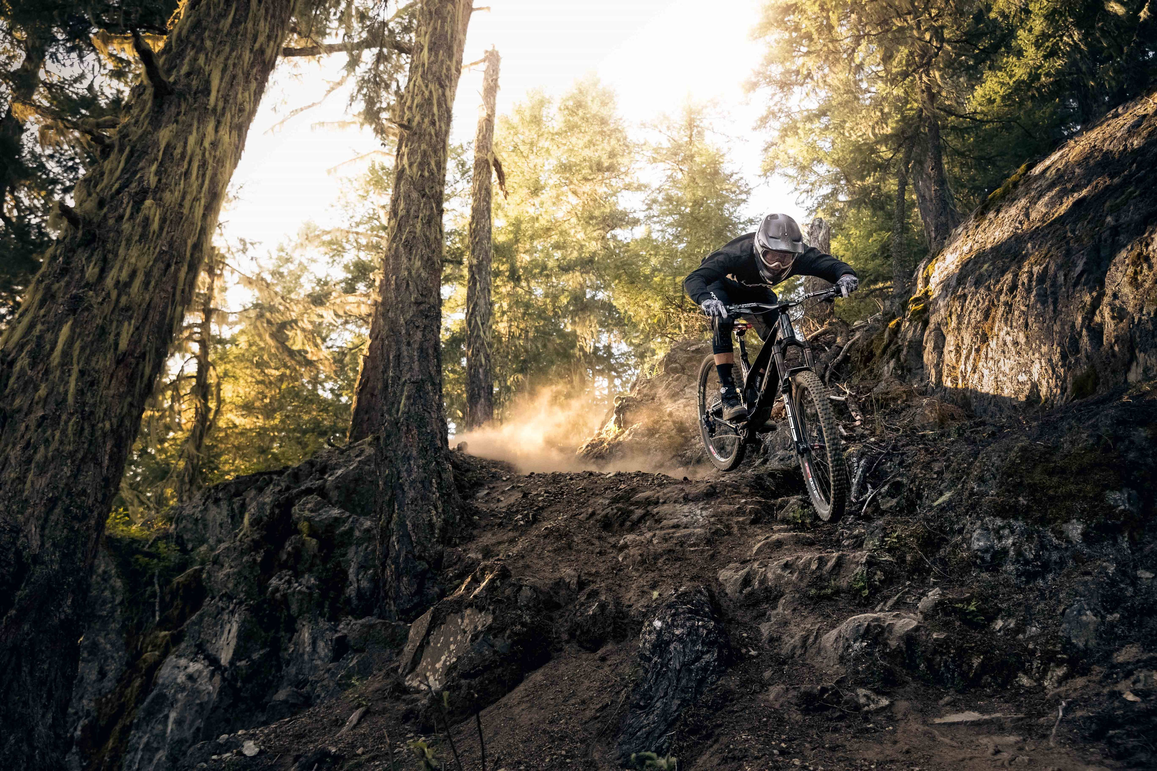 Drop Off 4K Mountain Bike Trick, sunlit forest trail, gnarled trees, 4K Desktop Wallpaper