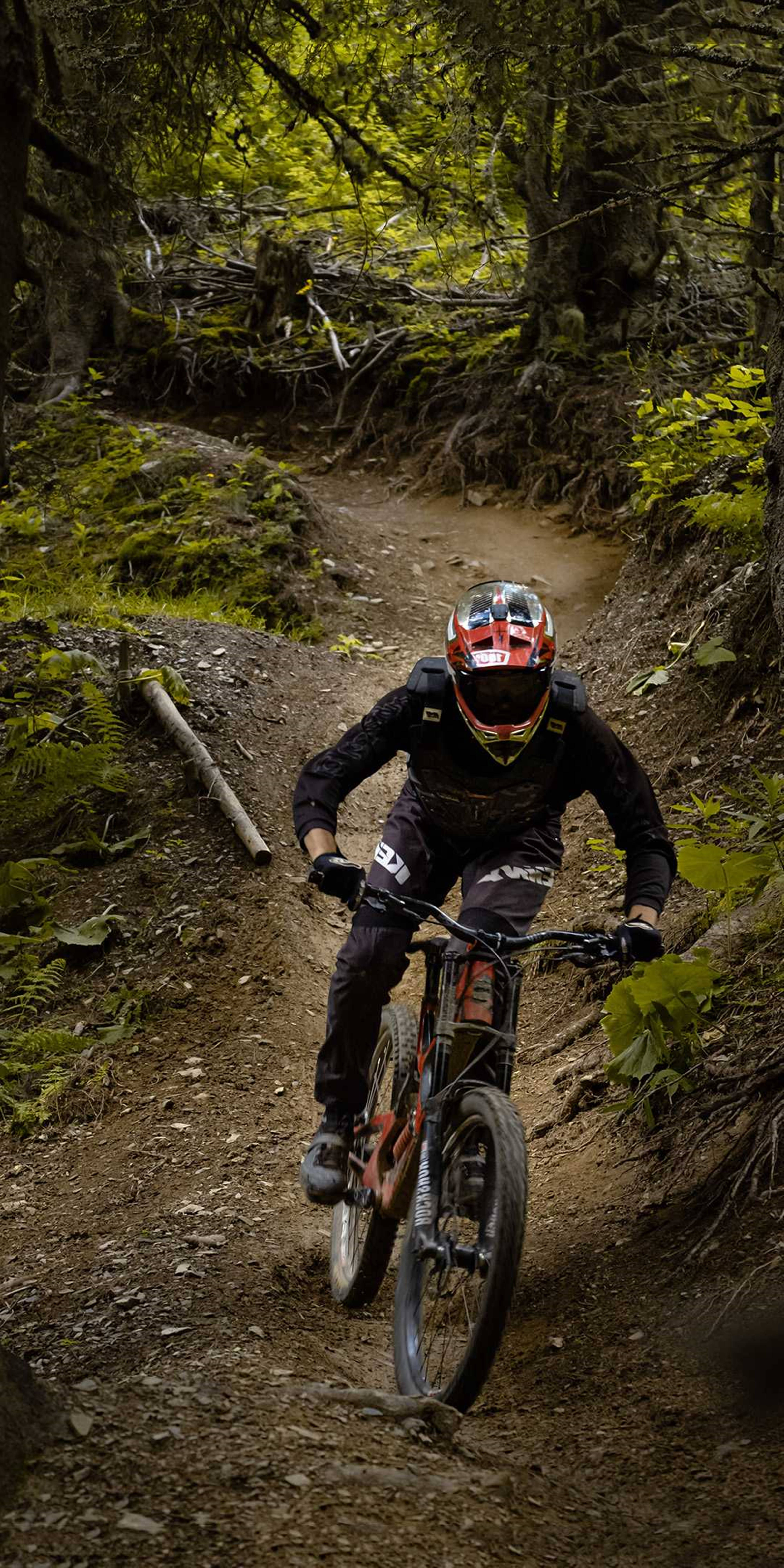 4K Mountain Bike, vignette effect, muddy forest trail, 8K Phone Wallpaper